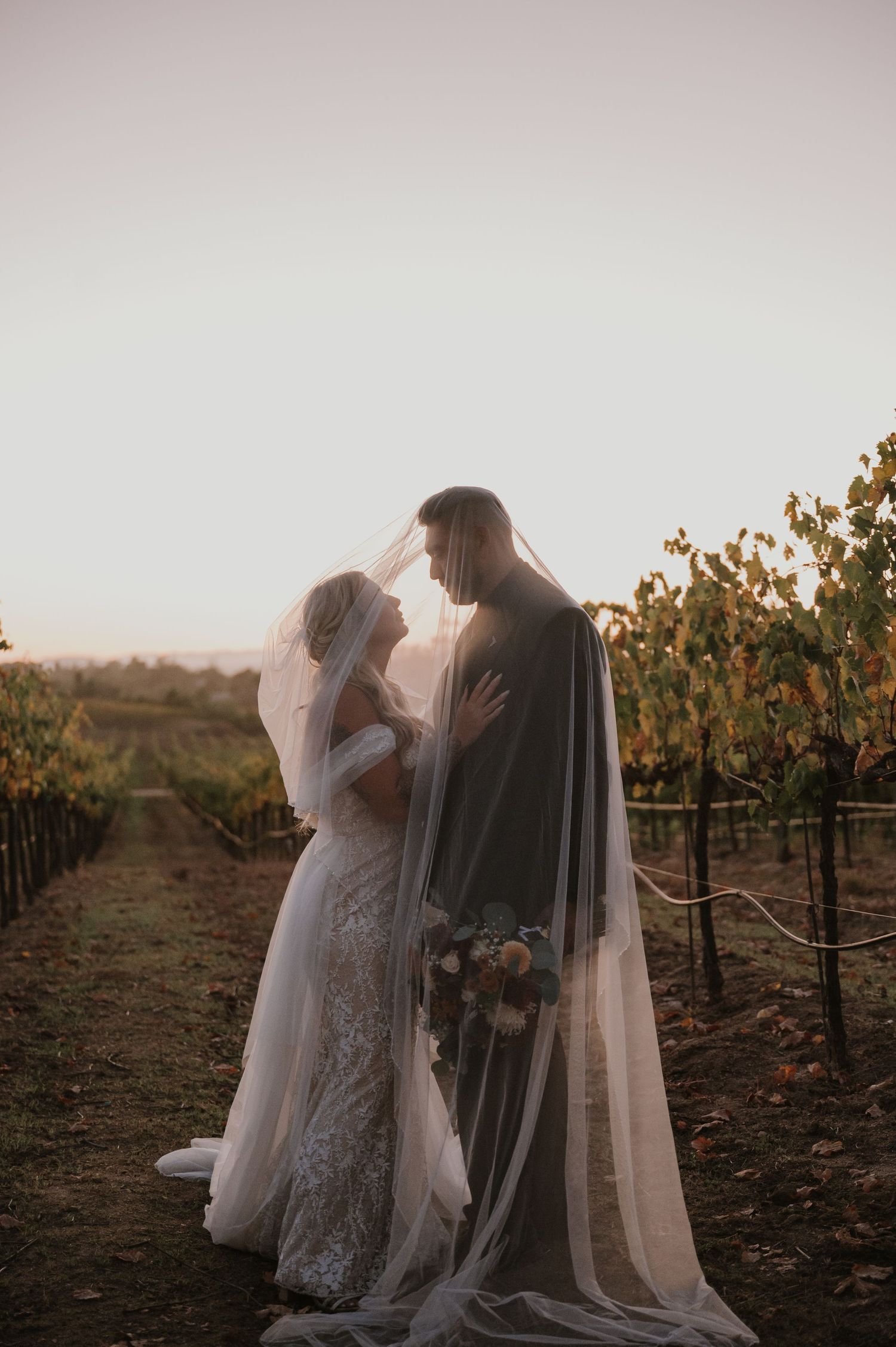 A romantic sunset photoshoot in a vineyard with a bride in a flowing veil and lace dress.