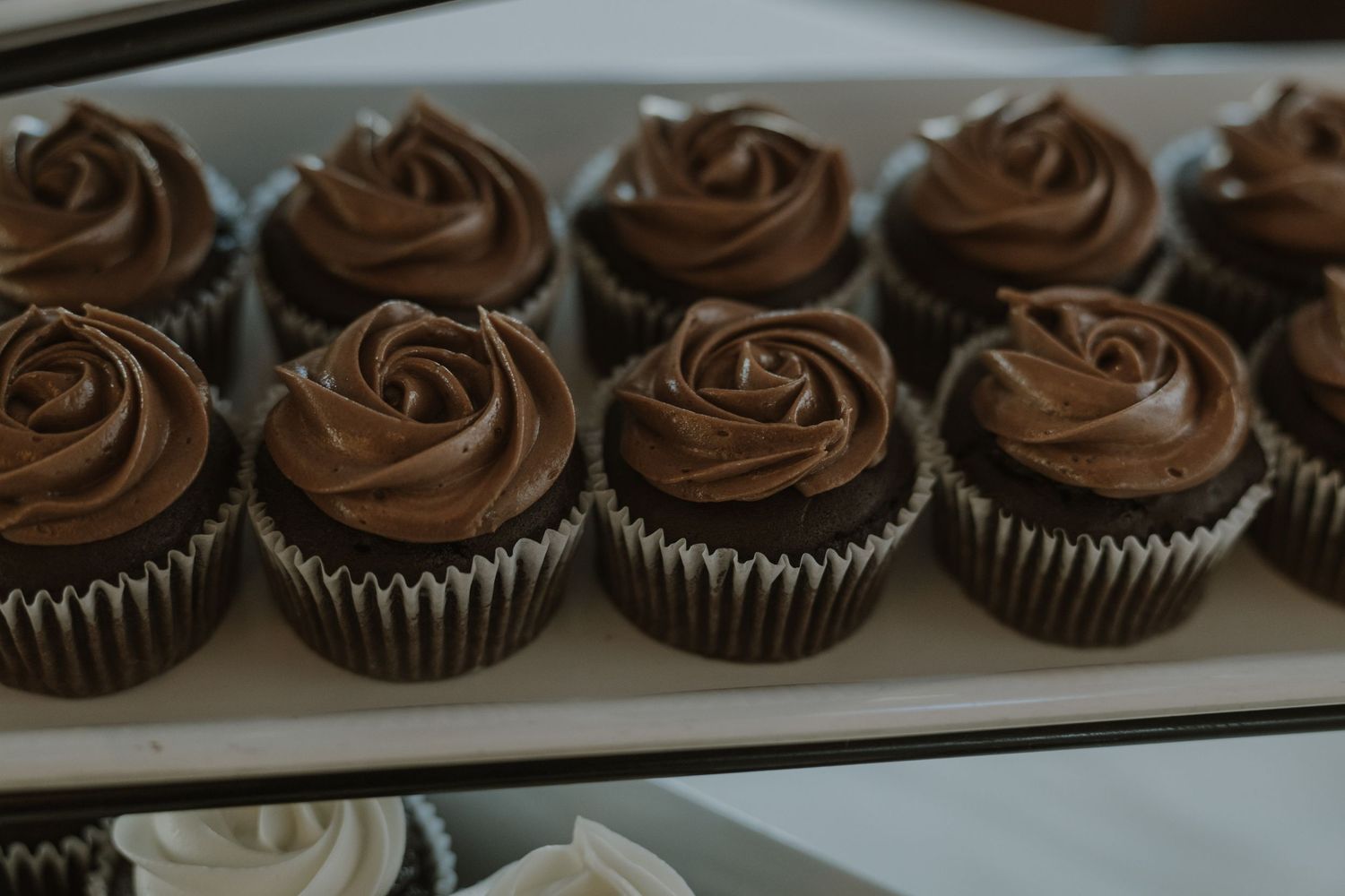 Rows of chocolate cupcakes with swirled chocolate frosting in silver liners displayed on a white tray.