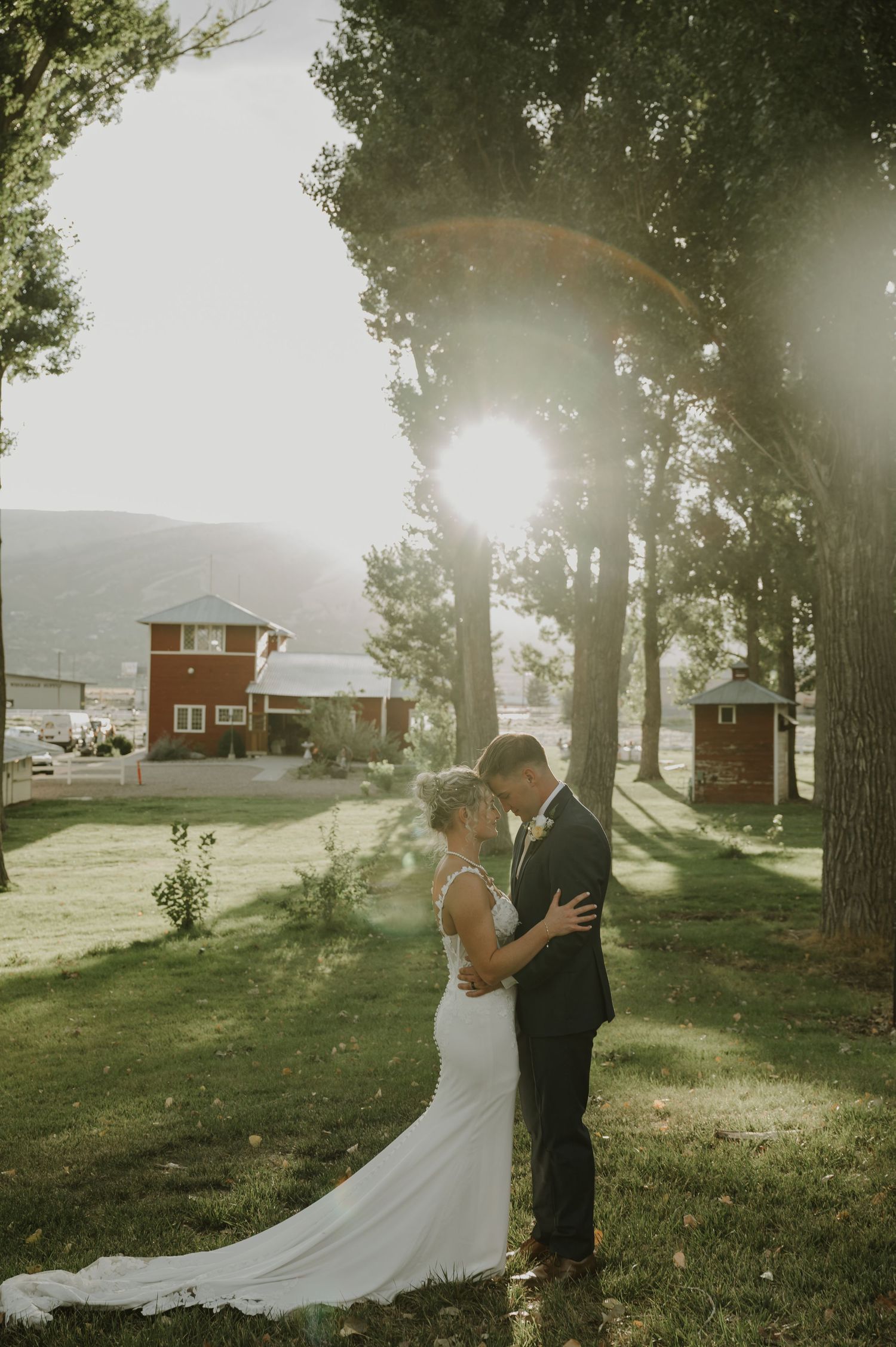 Newlyweds share a tender moment in dreamy backlit scenery with trees and buildings.