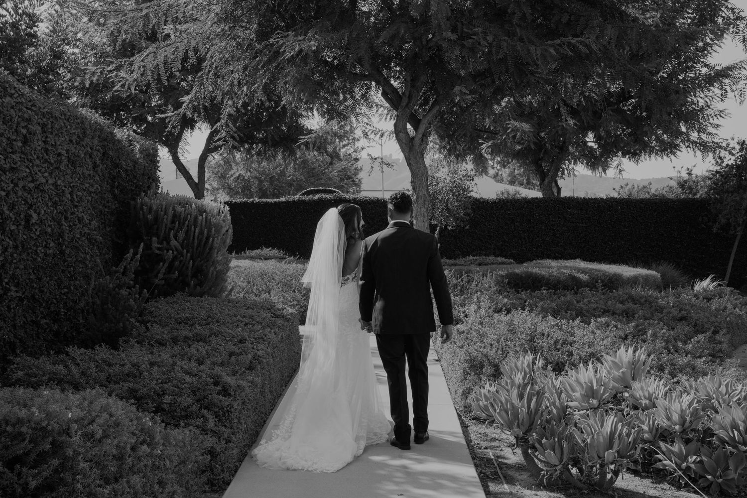 Black and white photo of a bride and groom walking hand in hand through a lush garden on their wedding day.