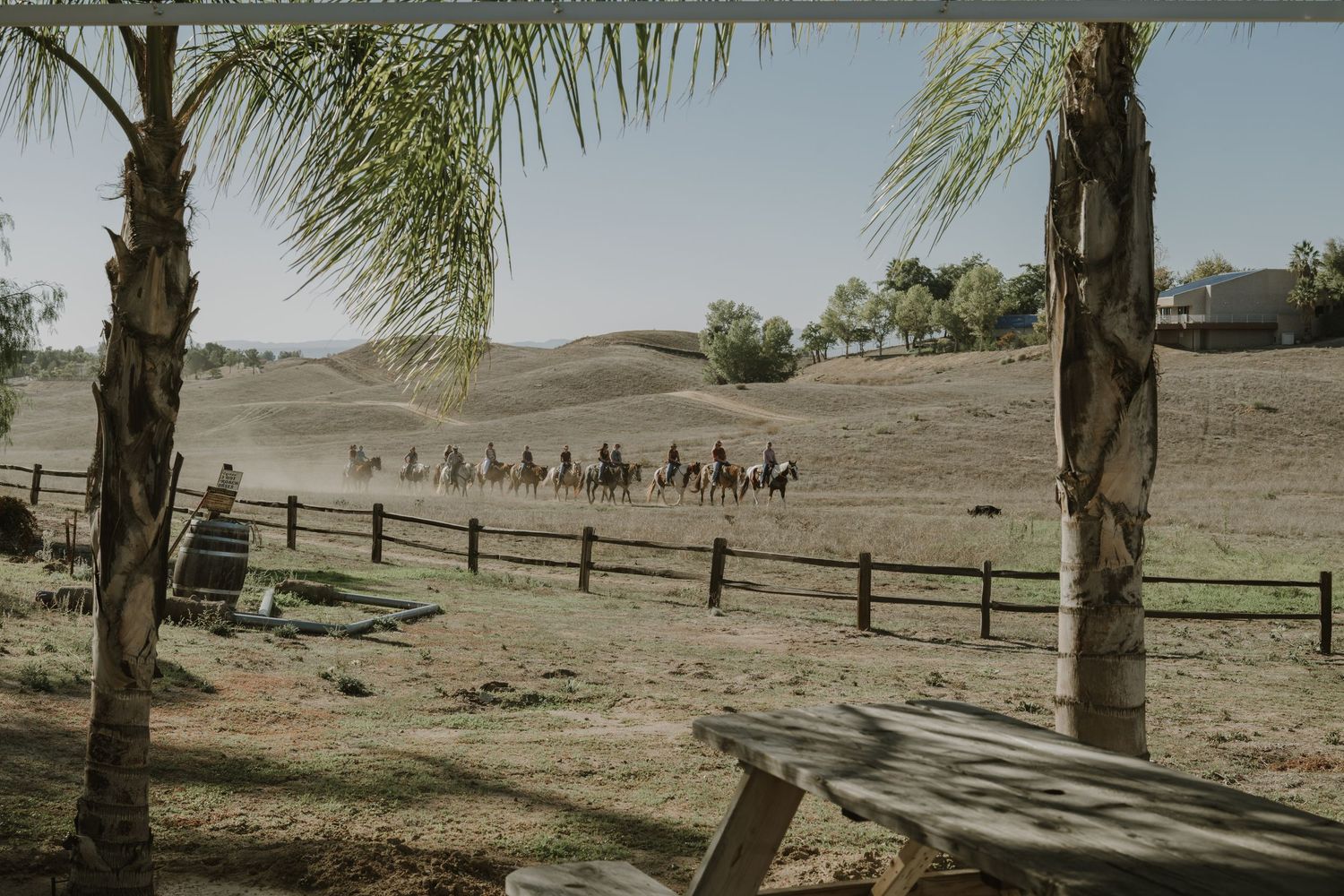 Desert landscape with palm trees and distant mountains at sunset creating a romantic wedding venue setting.