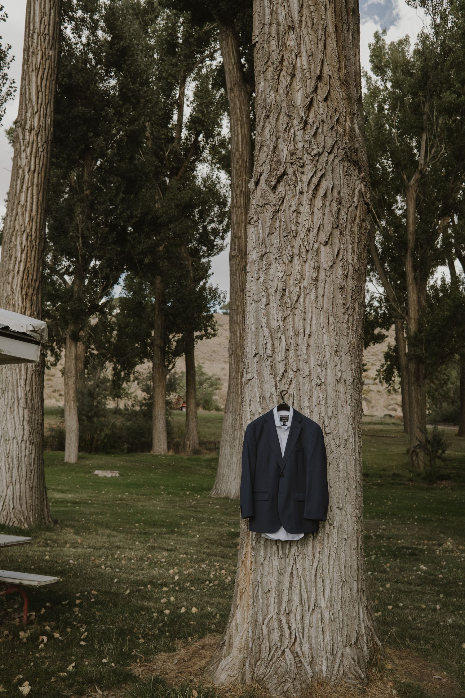 Suit jackets hanging on tree trunks in a wooded outdoor setting.