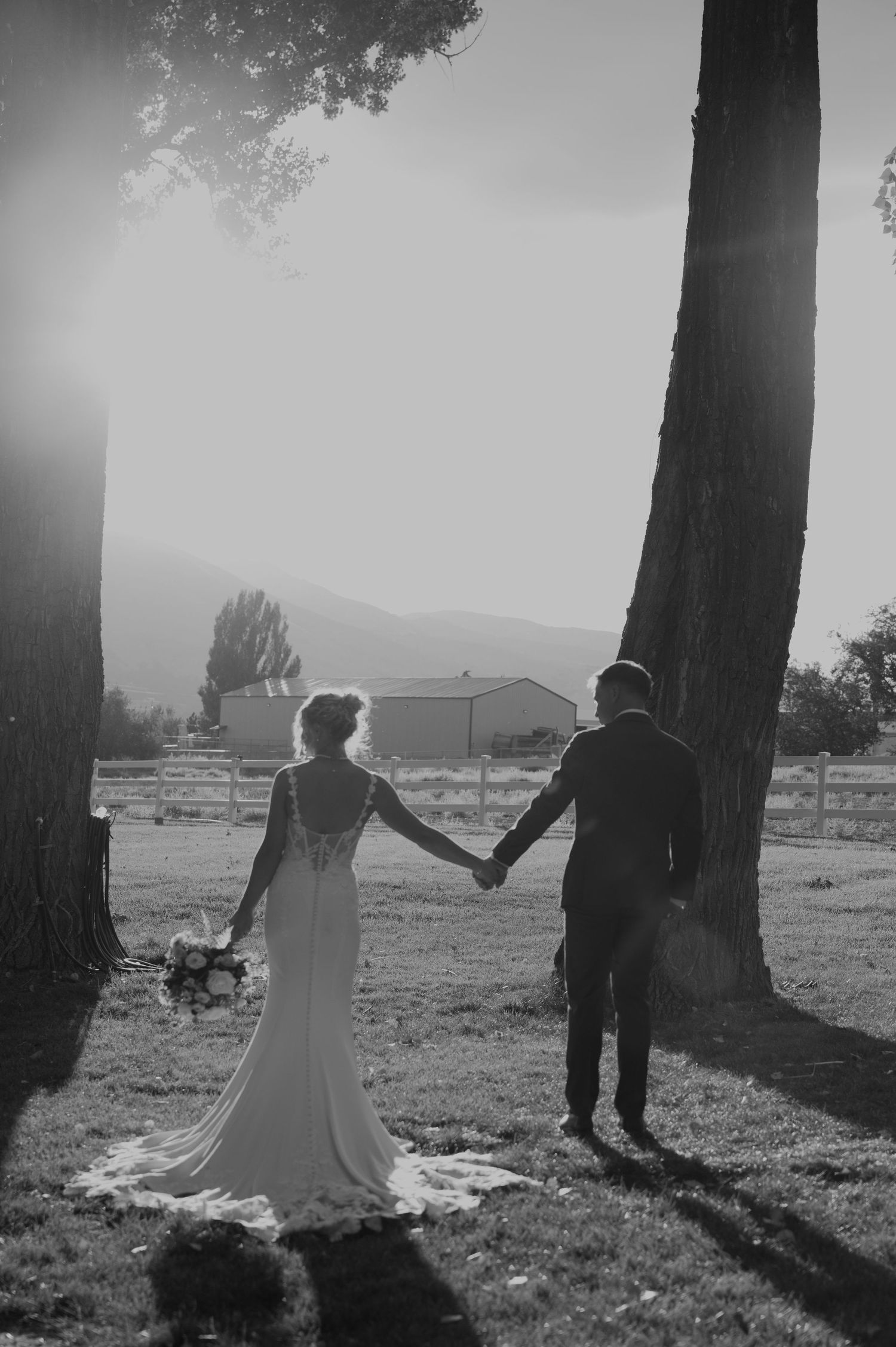 Black and white photo of a couple holding hands under tall trees in a meadow.