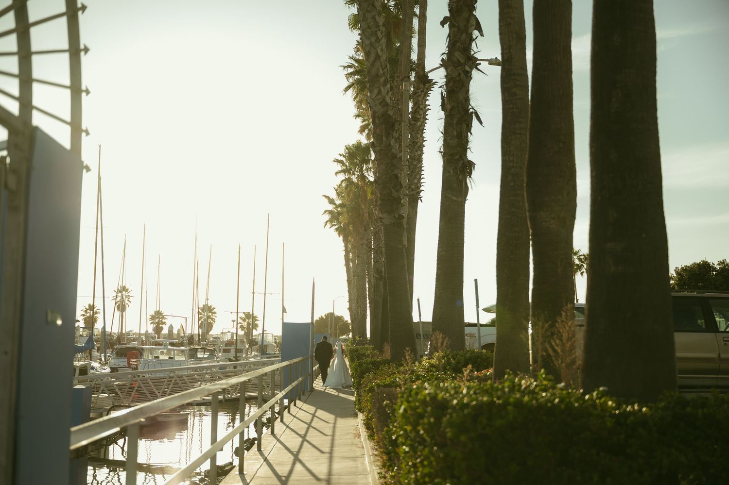 Palm tree-lined waterfront promenade with sailboats docked at marina during golden sunset light.