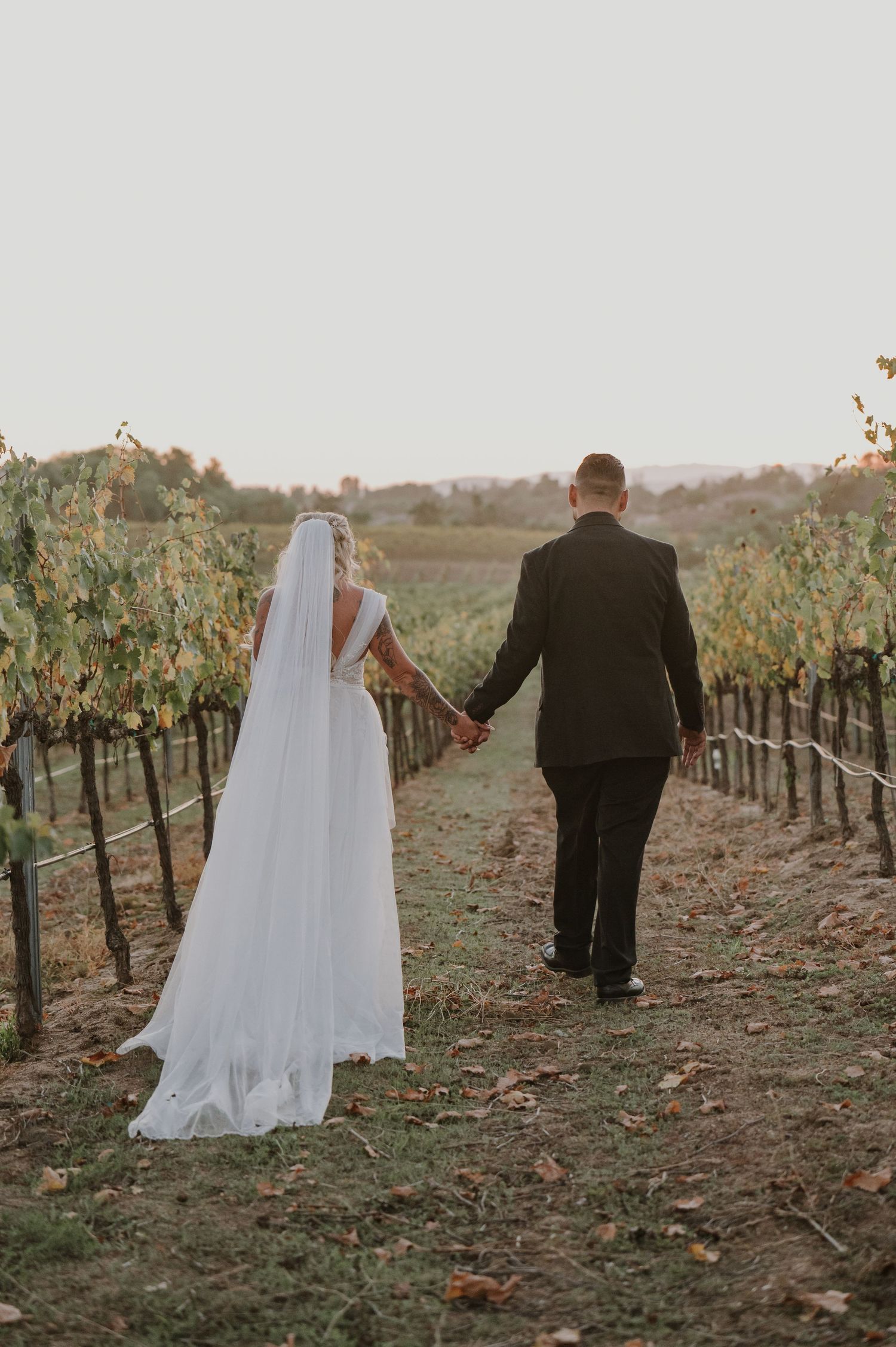 Couple holding hands while walking through vineyard rows at golden hour.