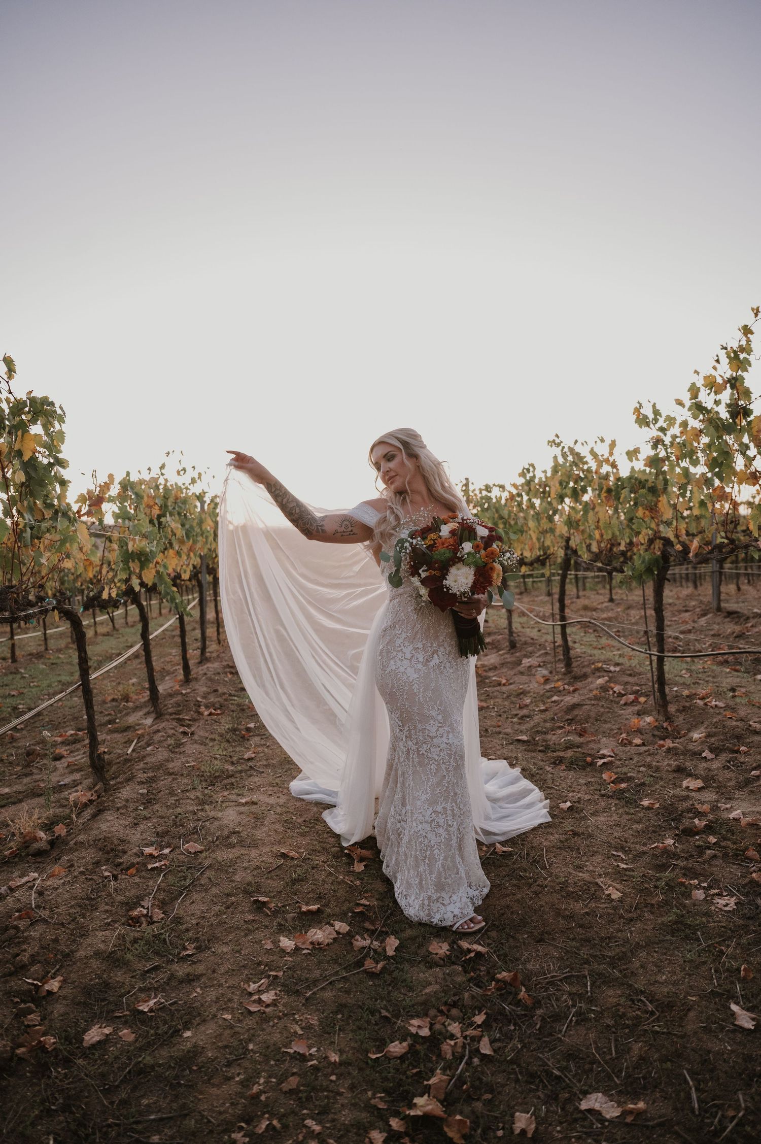 A bride in a flowing lace gown poses elegantly in a vineyard at sunset.