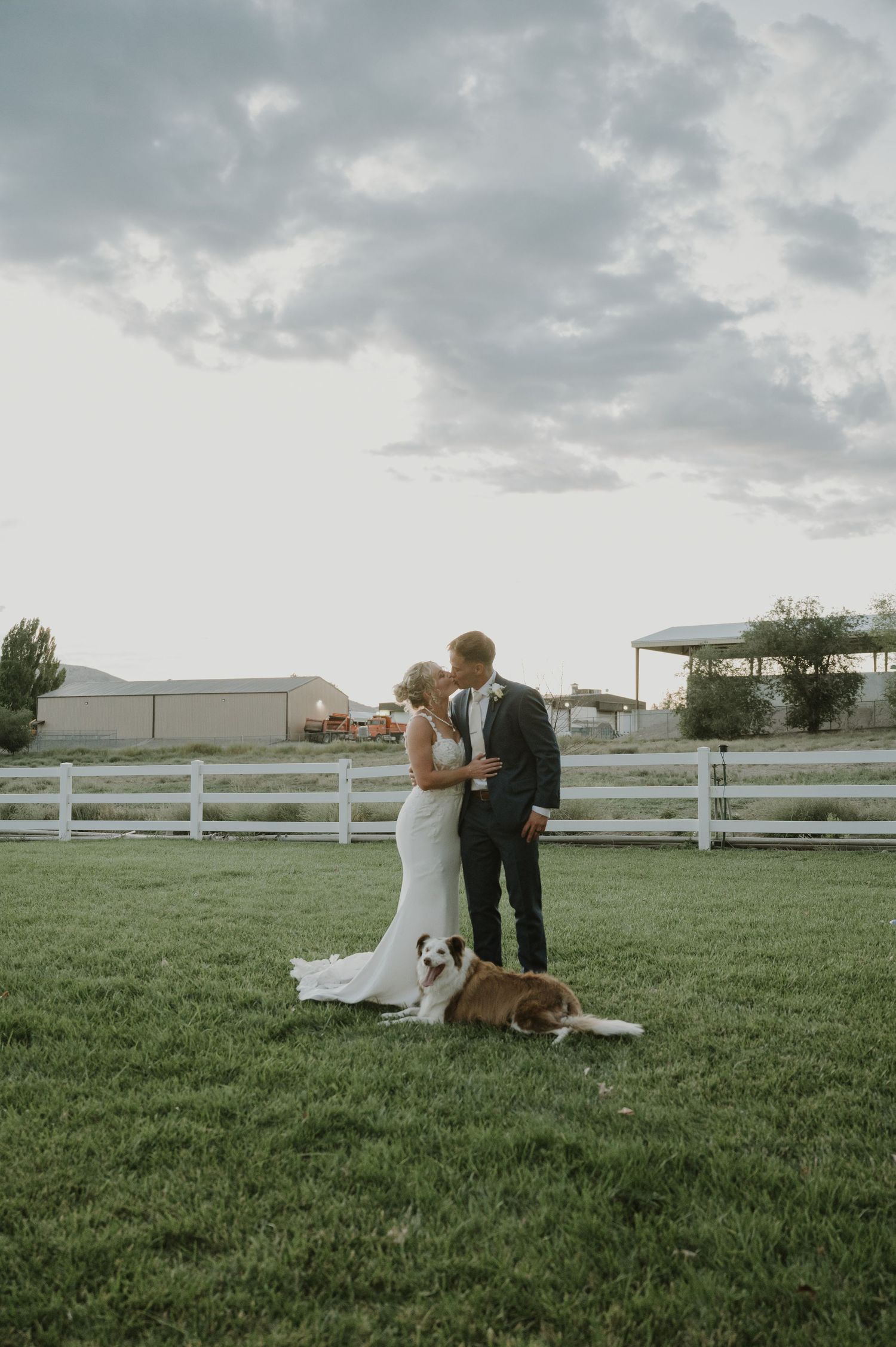 A wedding couple sits on grass near white fencing with their dog beside them.