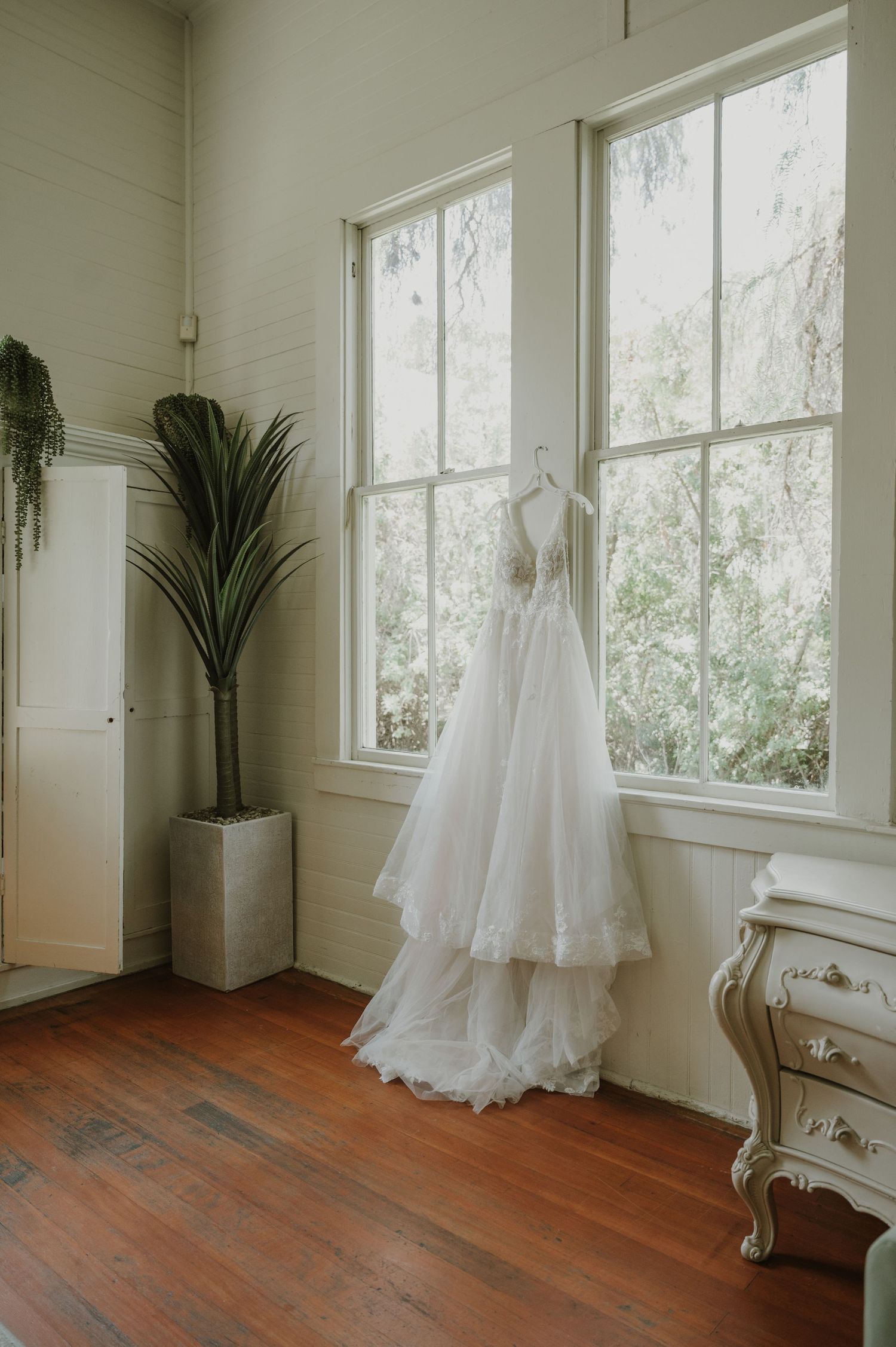 White wedding gown hanging by a window in a bright room with hardwood floors and a tall green plant.