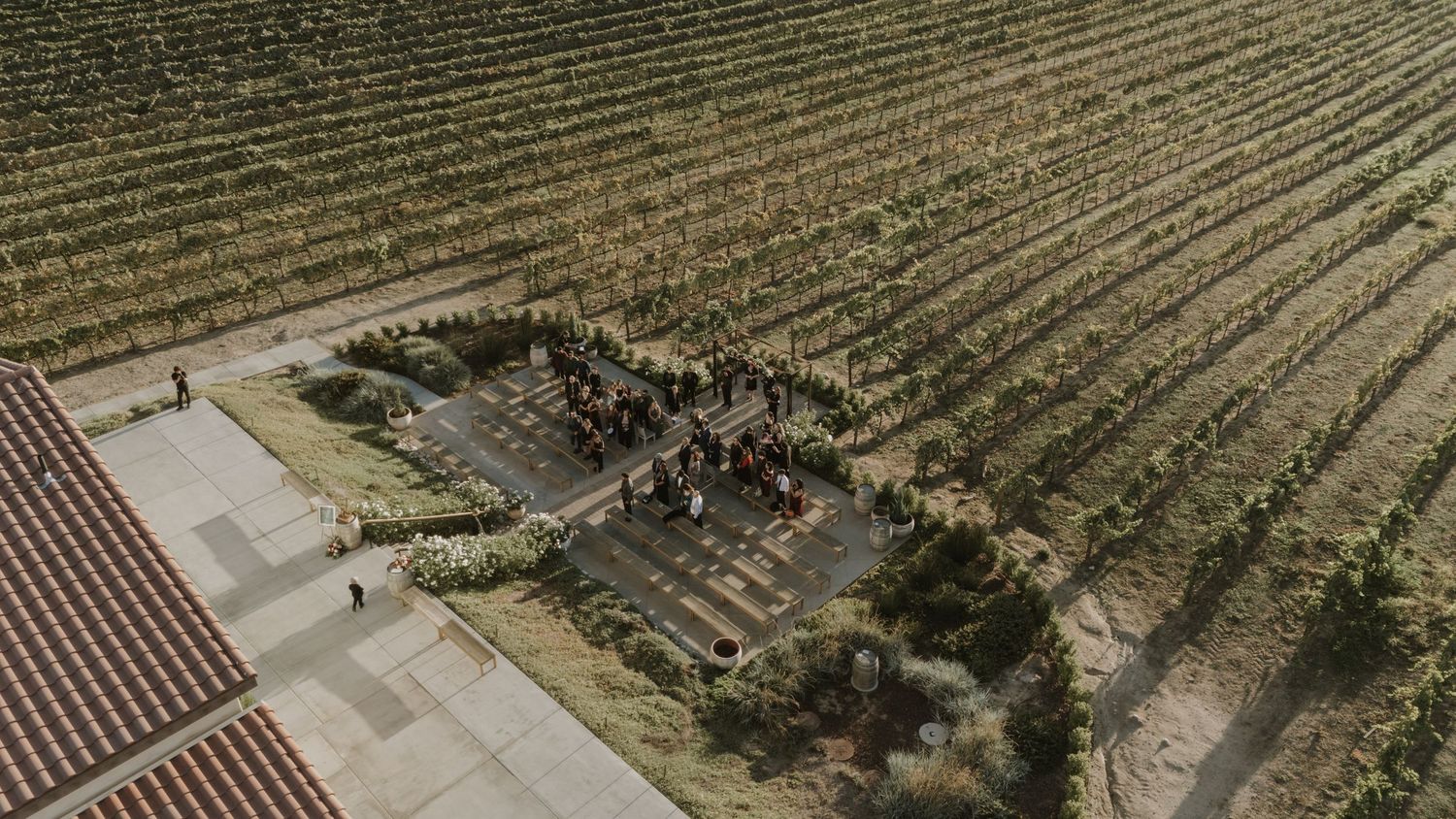 Overhead drone shot of vineyard rows with wedding ceremony seating arrangement.
