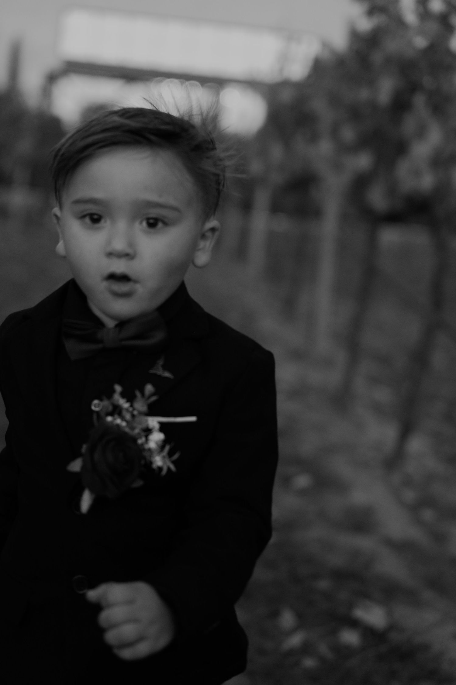 Young ring bearer in black suit poses in vineyard setting.