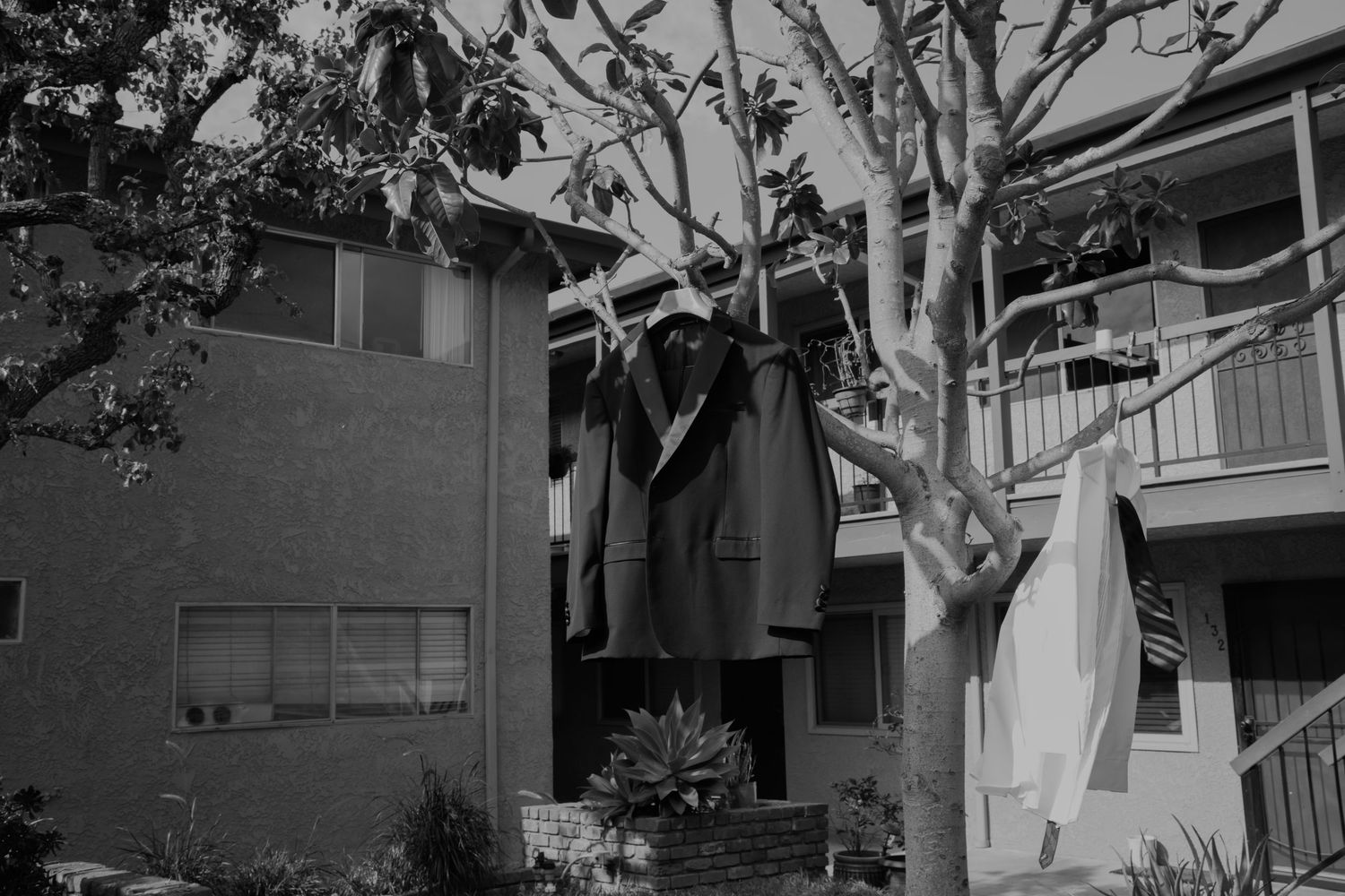 Black and white photo of clothes hanging on a bare tree between apartment buildings.