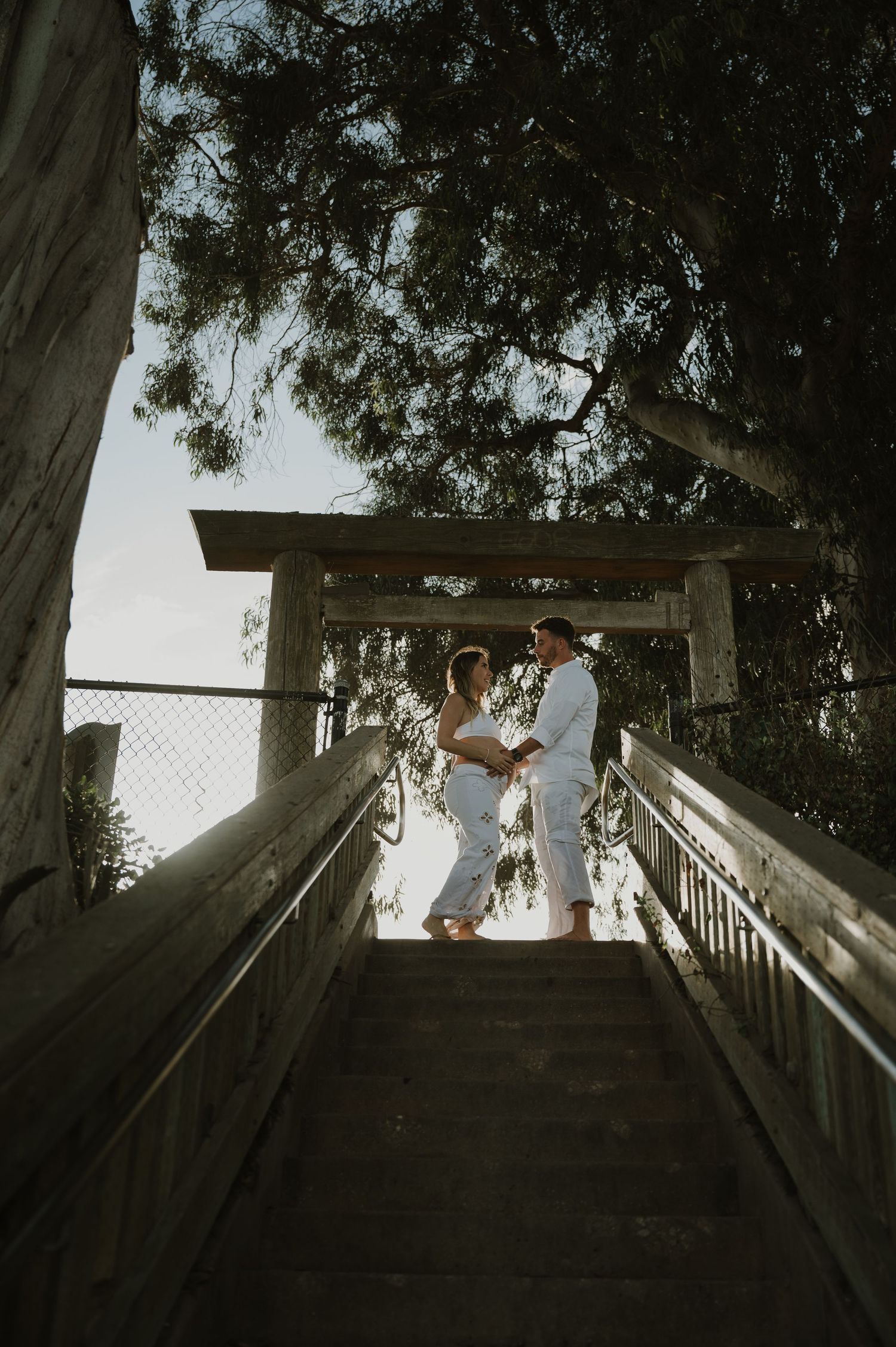 Looking up at figures silhouetted against the sky on wooden stairs among eucalyptus trees.