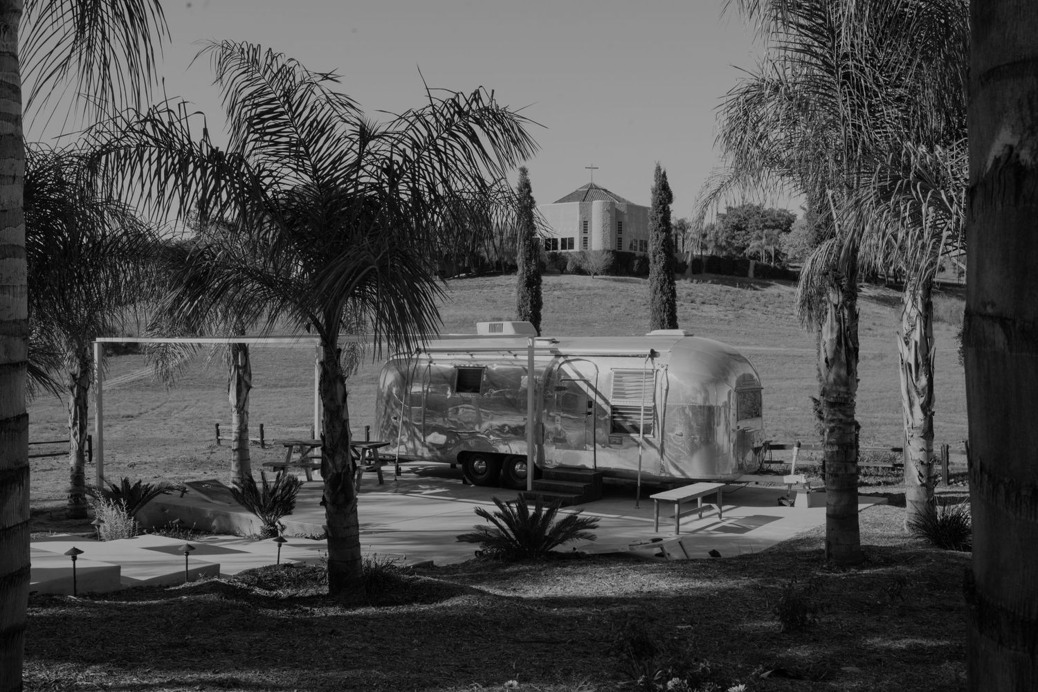 Palm trees line a sunny outdoor venue with modern architecture.