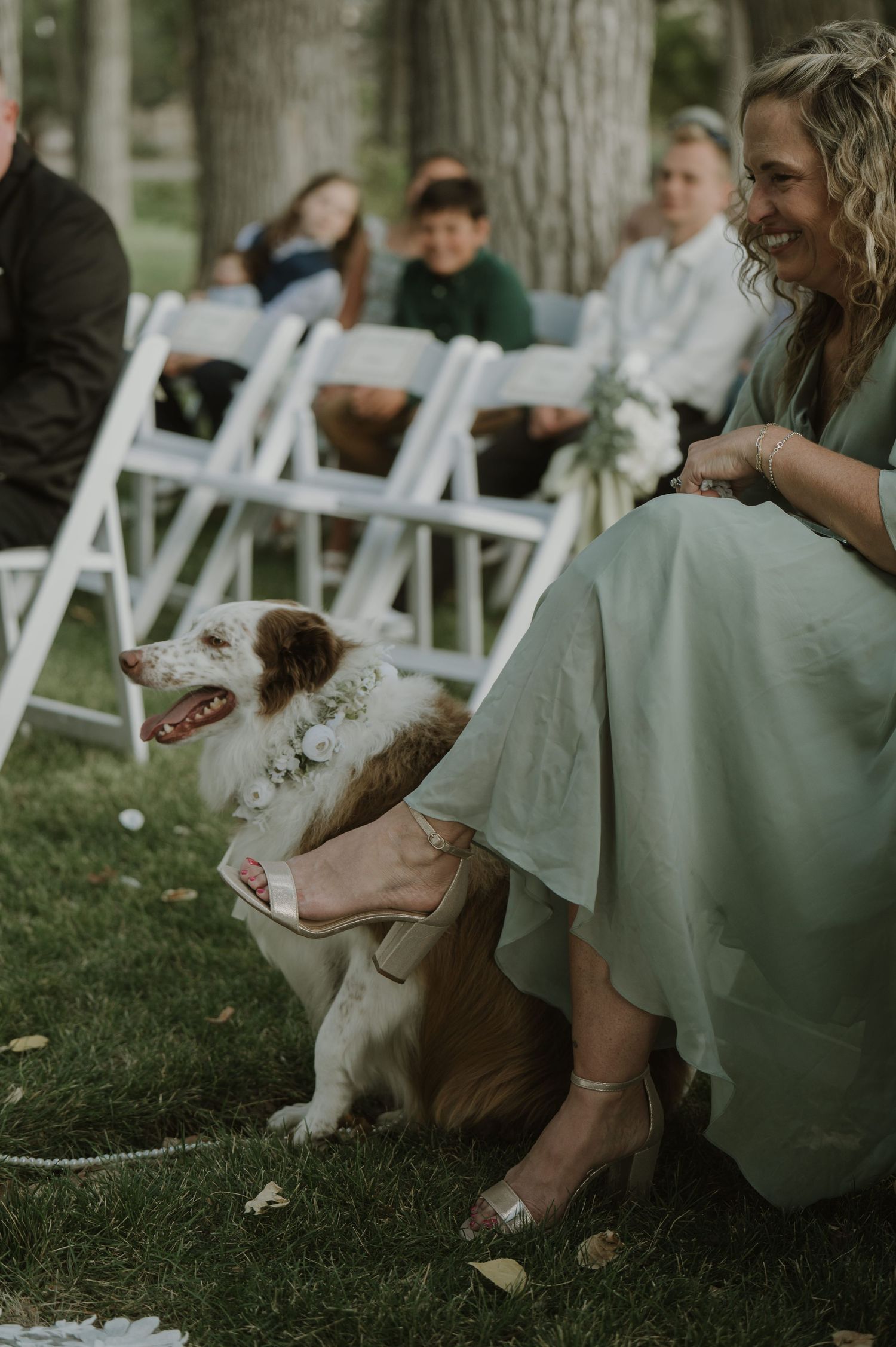 A happy dog sits with wedding guests on the grass during an outdoor ceremony.