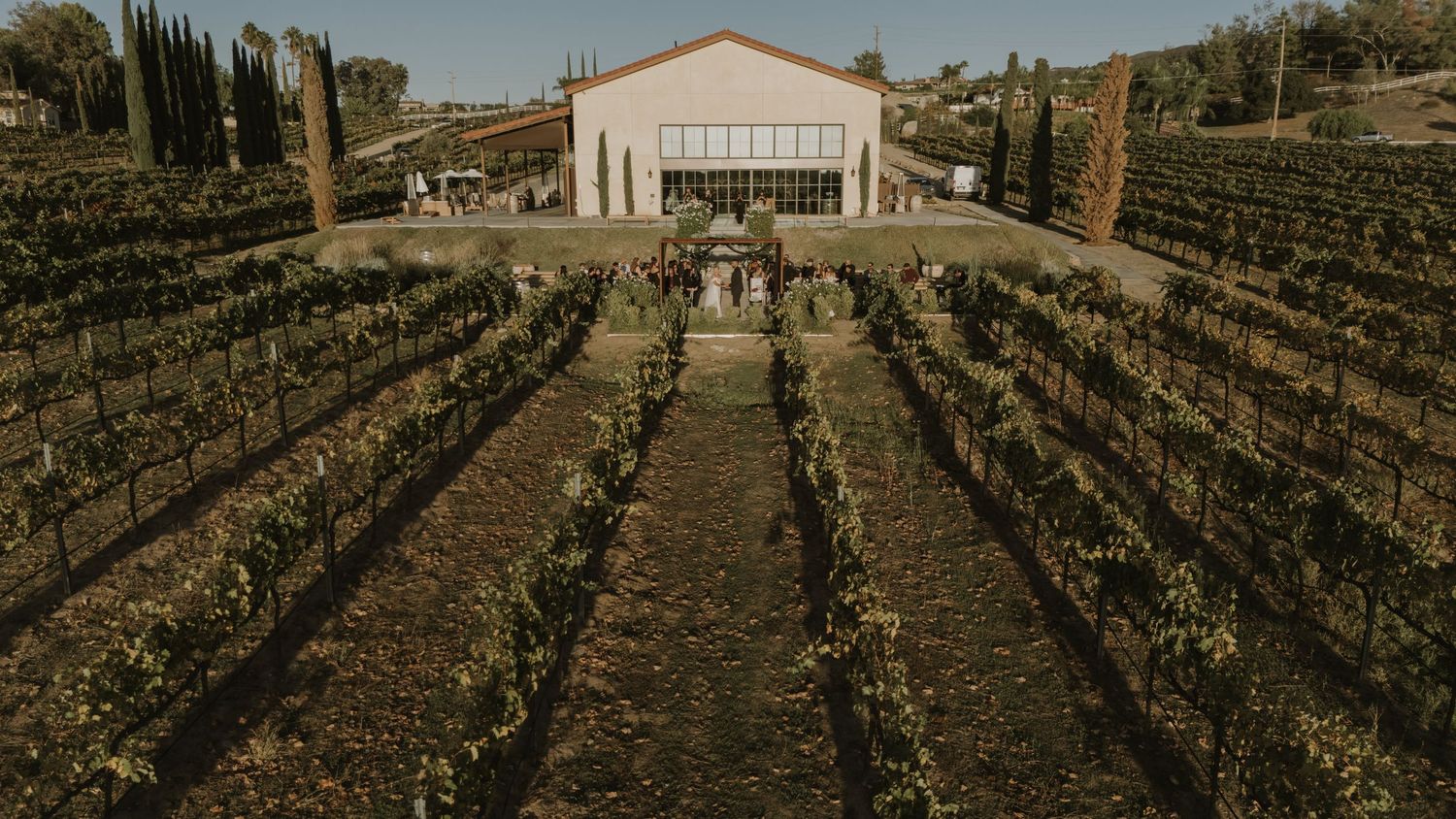 Scenic vineyard landscape with rows of grapevines and buildings in warm evening light.