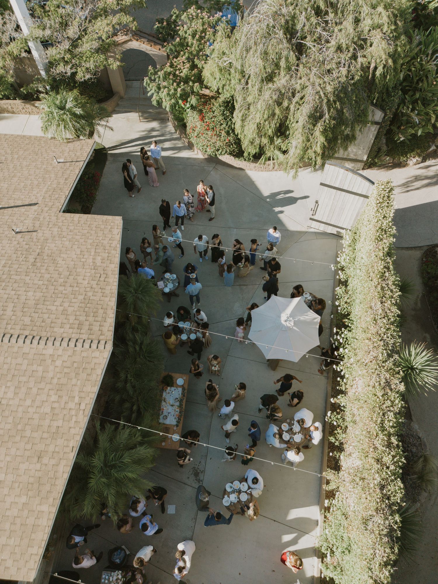 Aerial view of a wedding reception with guests mingling on a patio surrounded by lush trees and greenery.