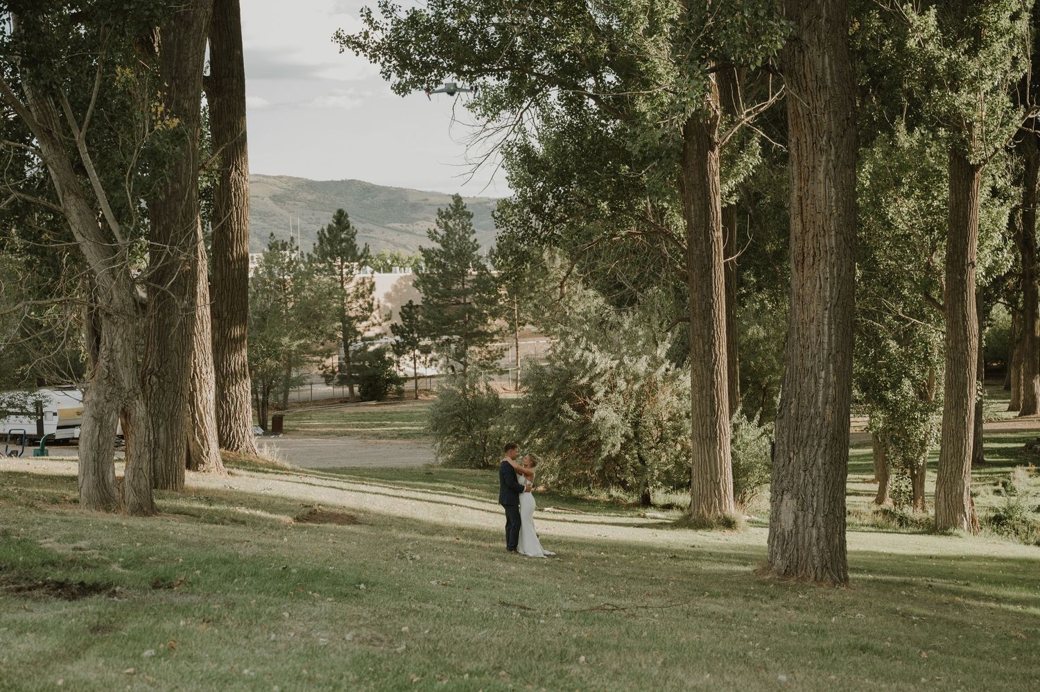 A tree-lined path leads to distant buildings on a scenic rural property.