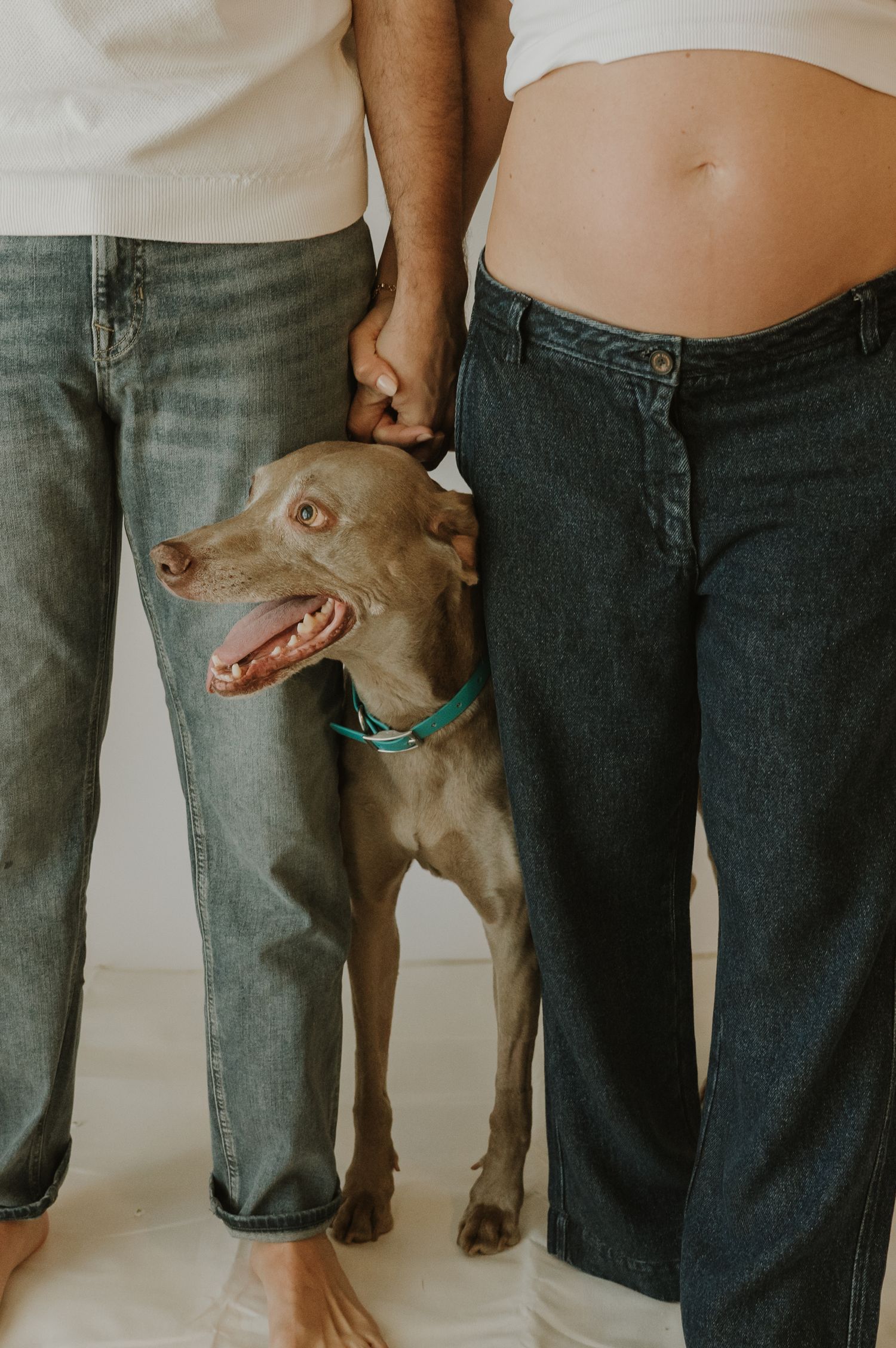 Gray dog poses with couple showing pregnant belly in casual jeans and white tops.
