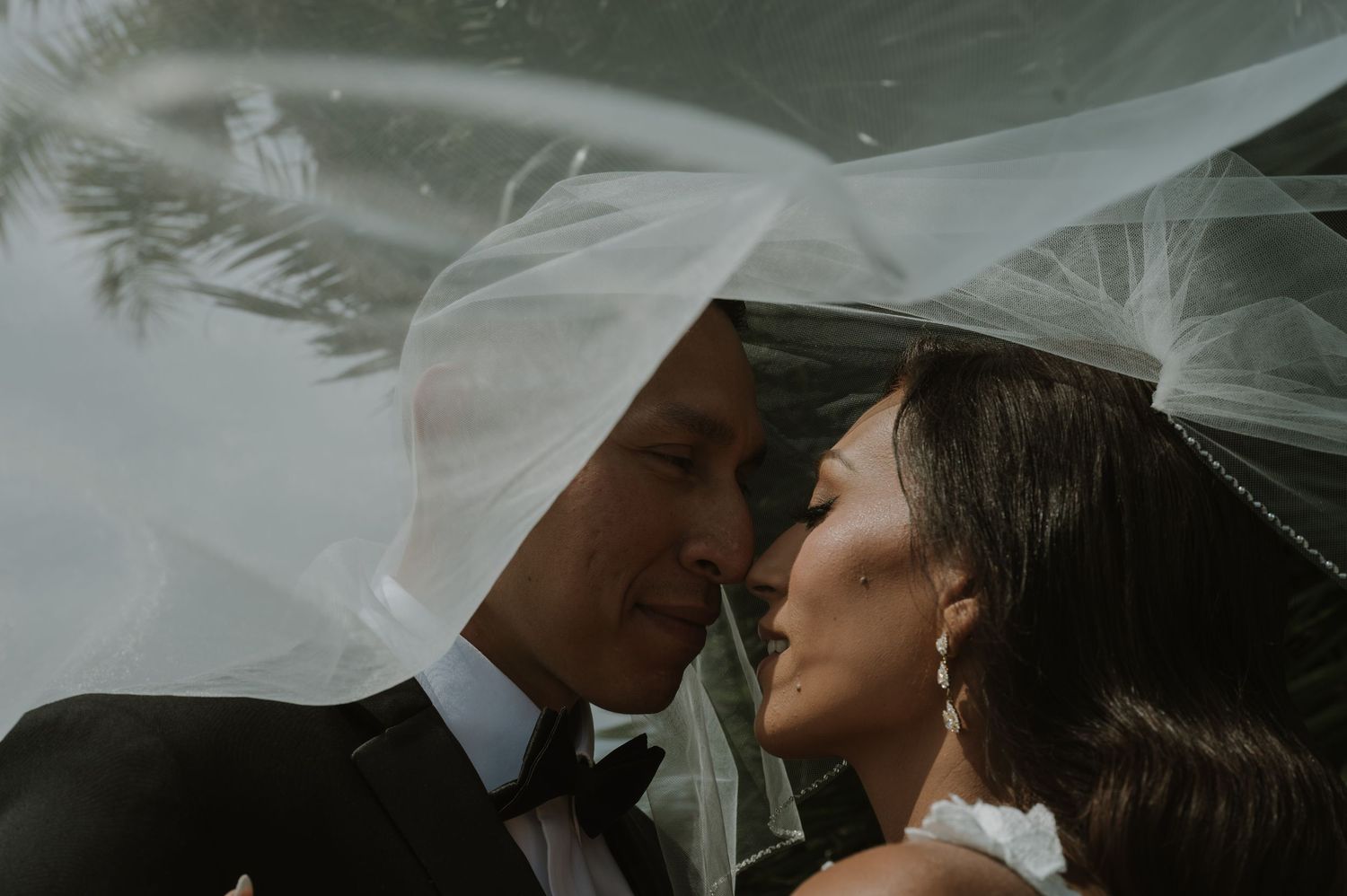 A tender black and white wedding moment captured through a flowing veil.