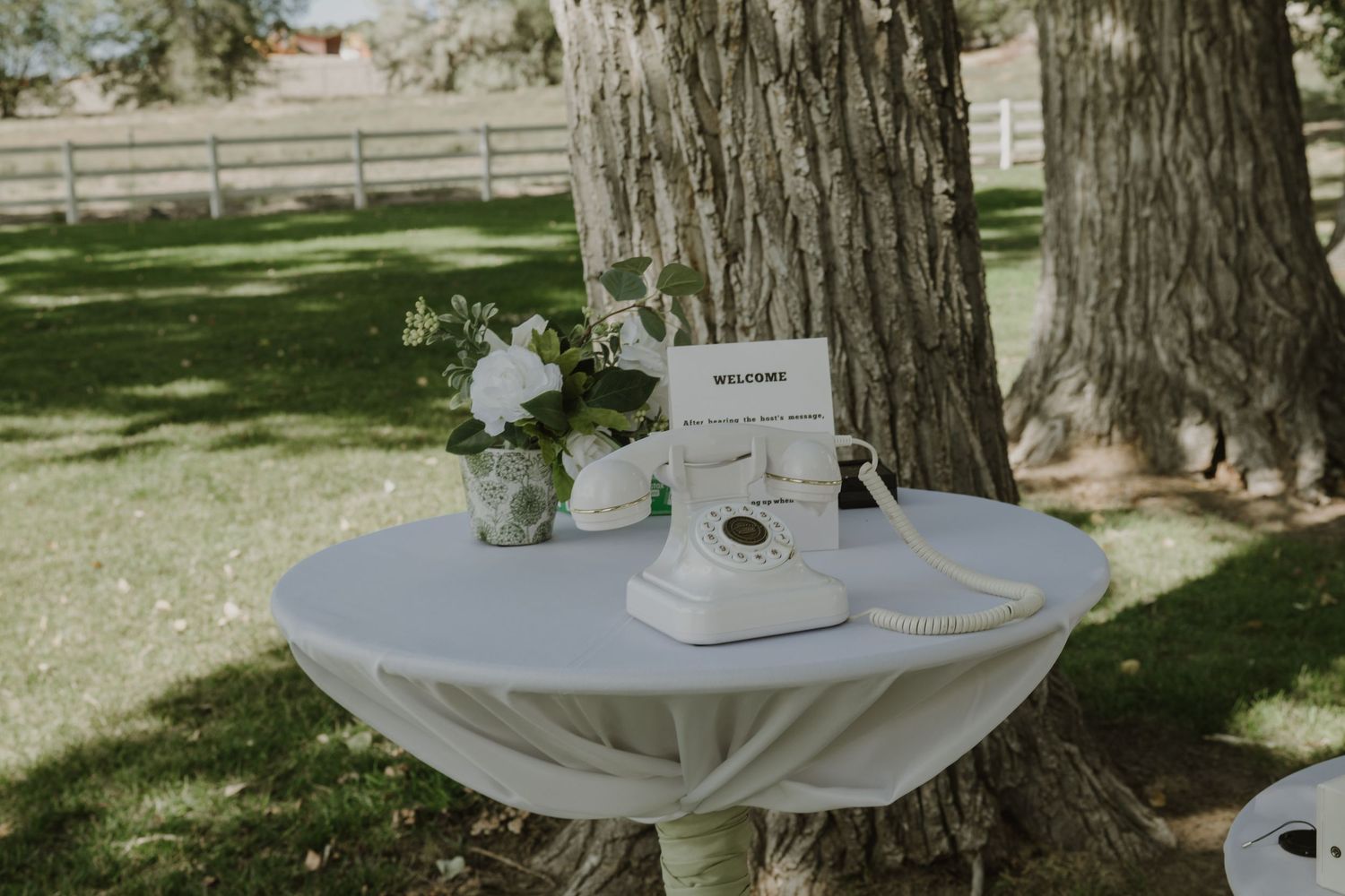 Elegant outdoor wedding setup with white tablecloths and natural greenery decor.