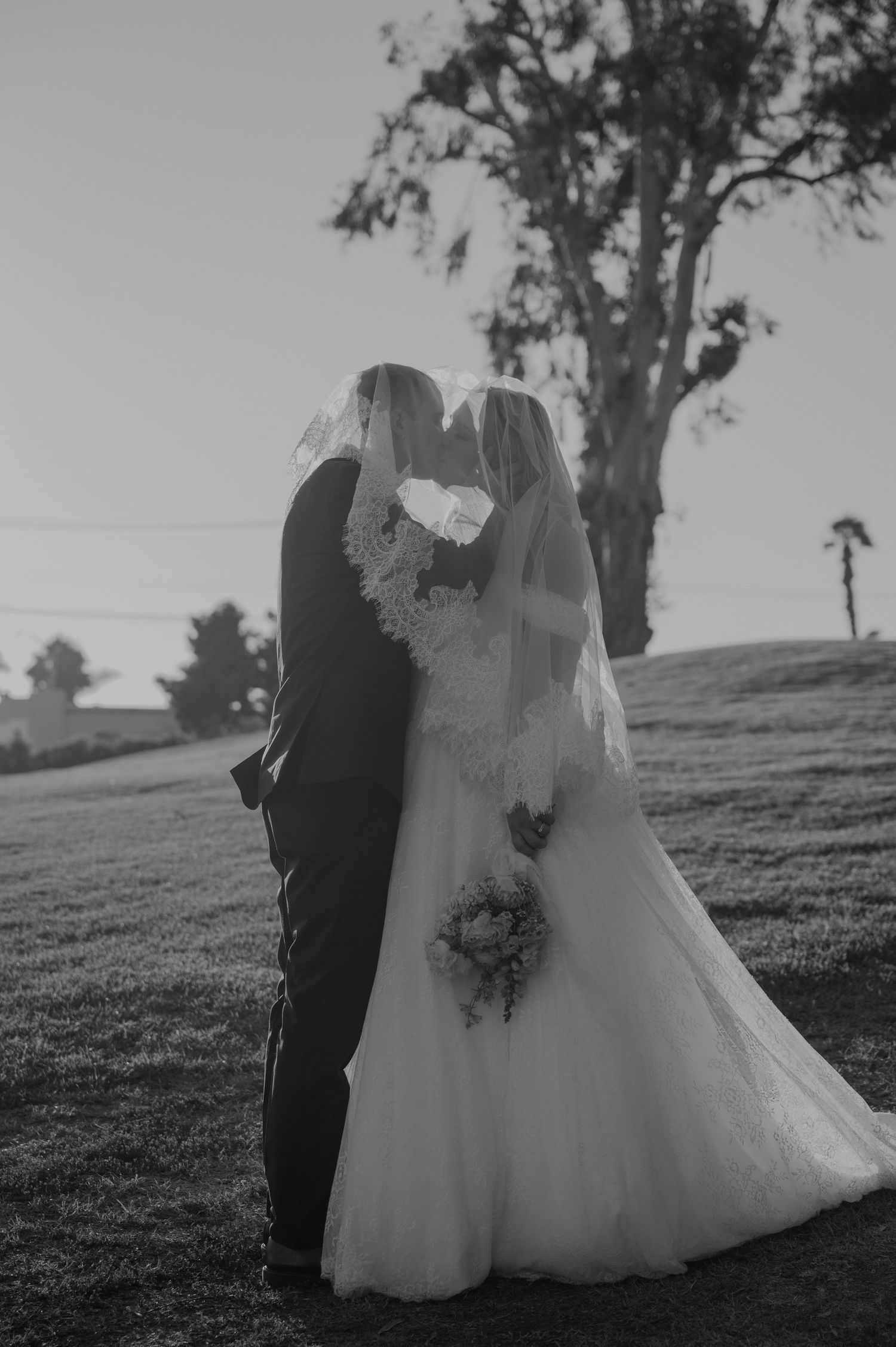 Black and white photo of a bride and groom sharing a kiss outdoors, with a large tree in the background.