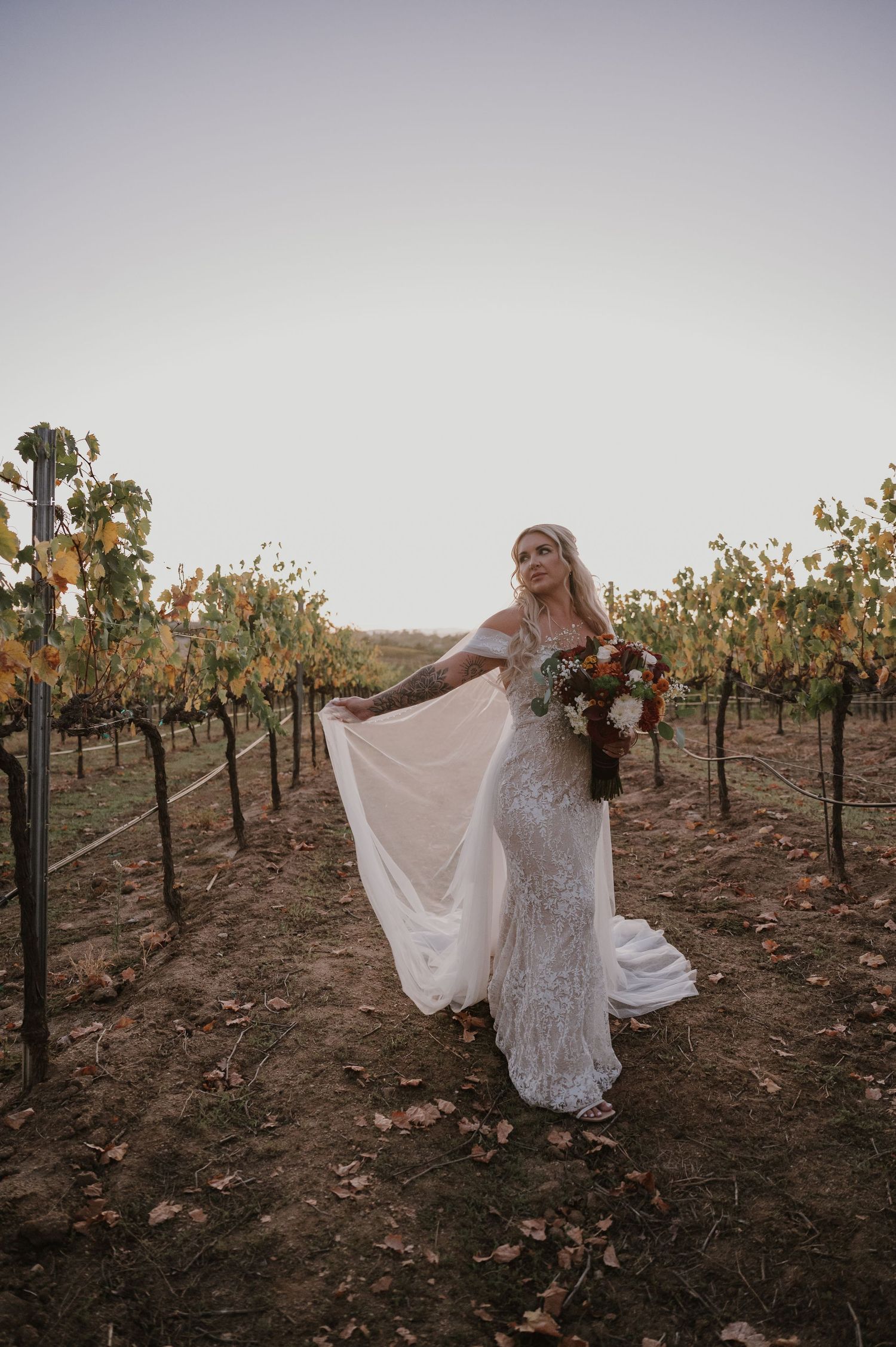 A bride in lace dress twirls among vineyard rows during golden hour.
