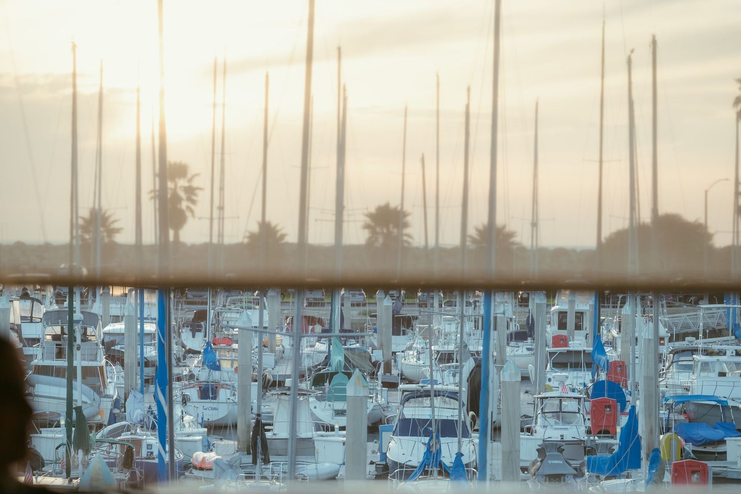 Sailboats and yachts docked at a marina at sunset with palm trees visible through a glass window.