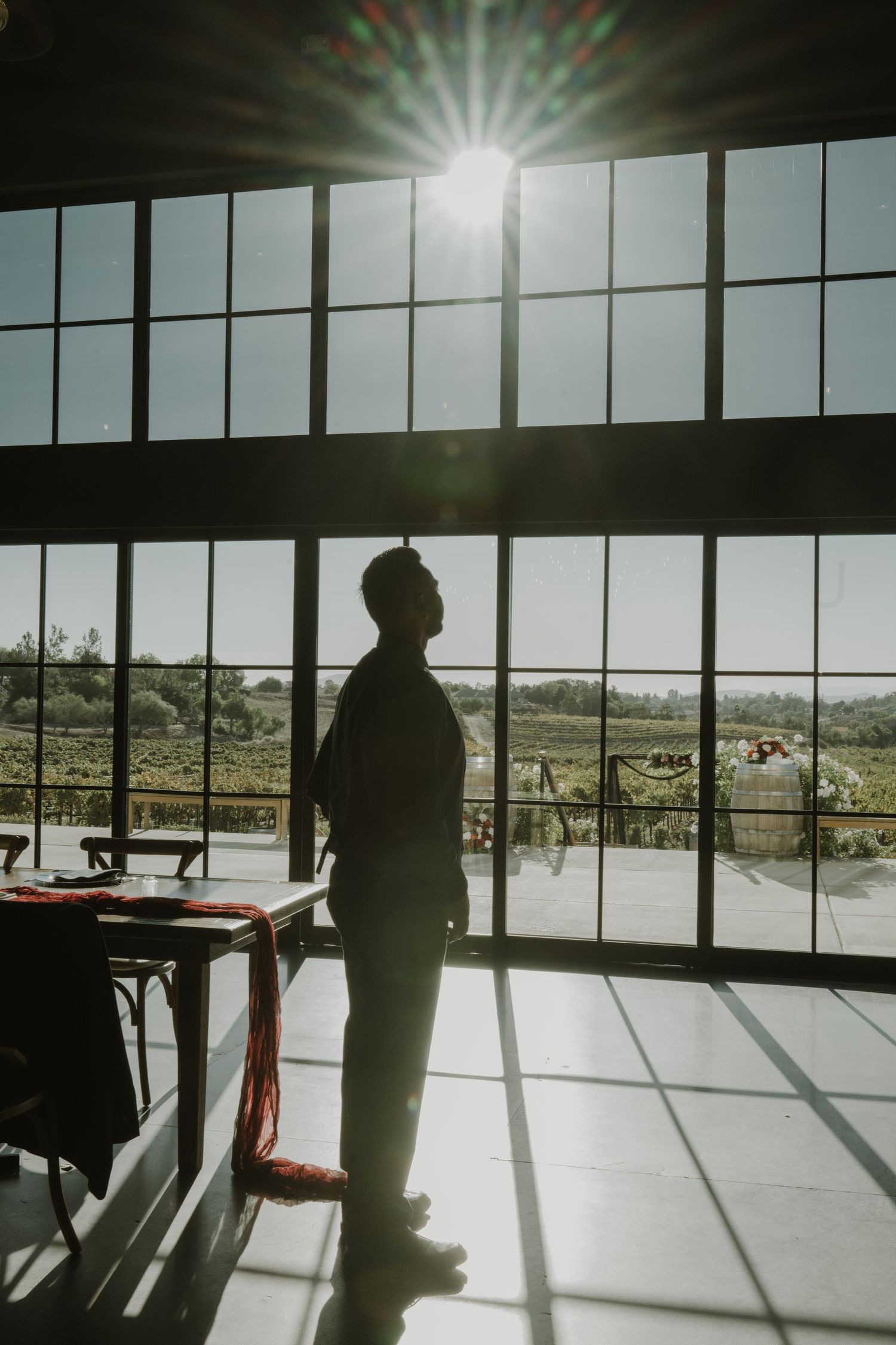 Silhouettes of figures against large windows in a bright sunlit room creating dramatic shadows.