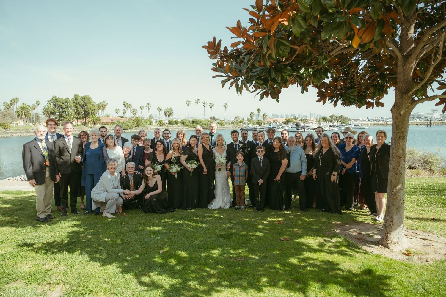 Large wedding party group photo on green lawn with palm trees and water in background.