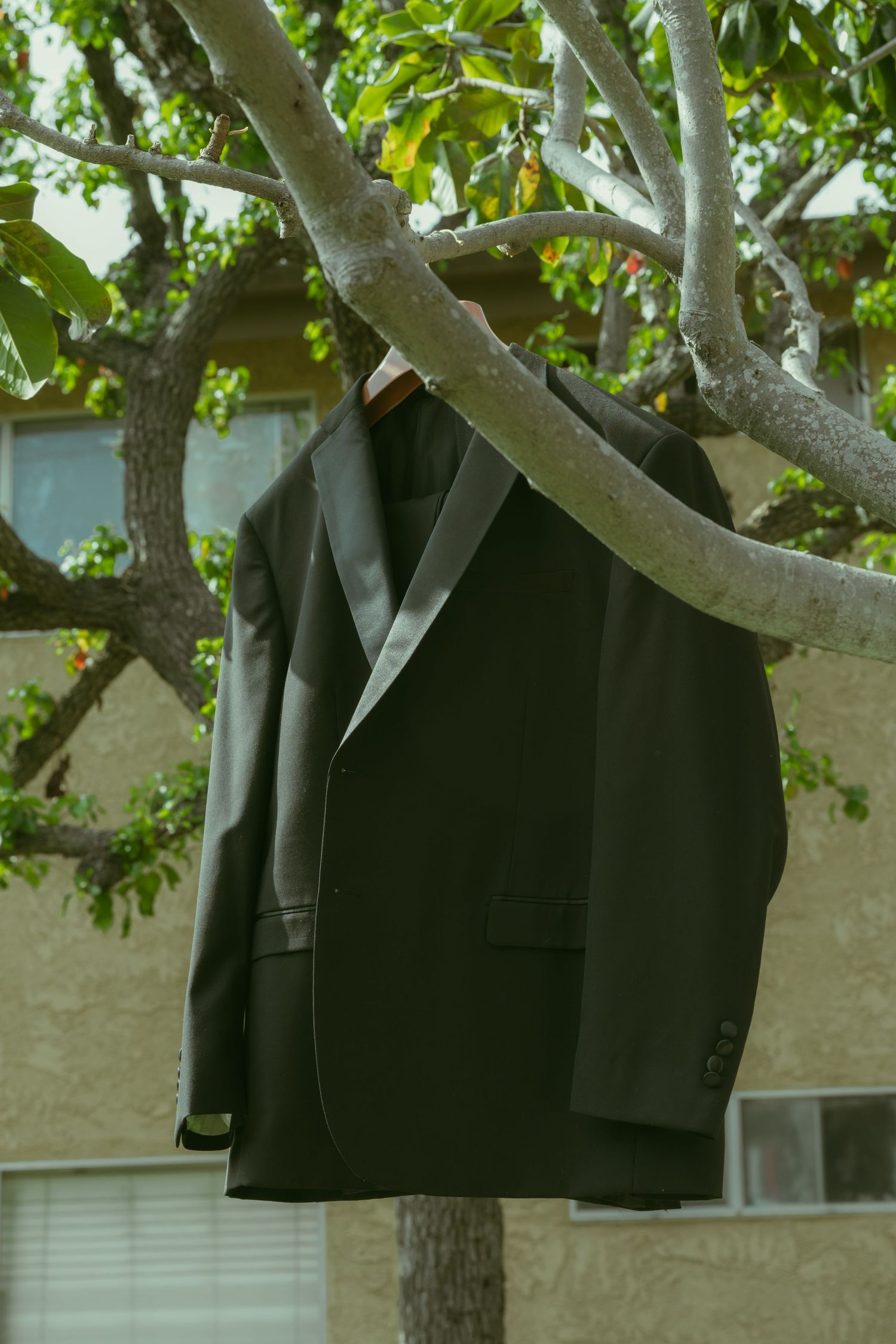 Dark tuxedo jacket hanging on a wooden hanger from a tree branch outdoors with a building in the background.