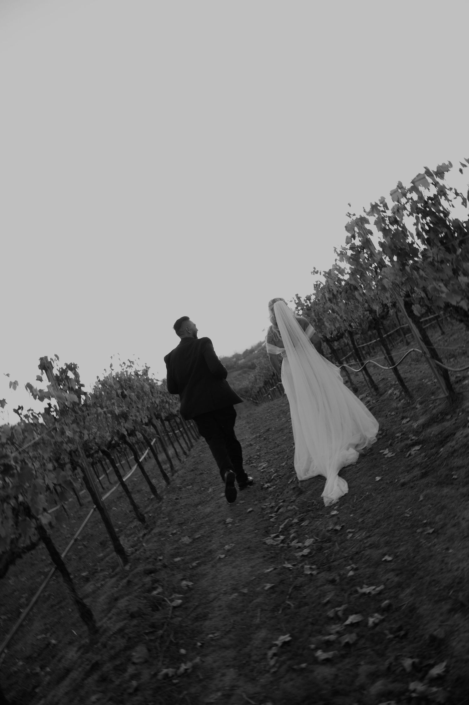 Black and white photo of couple walking through vineyard rows during sunset.