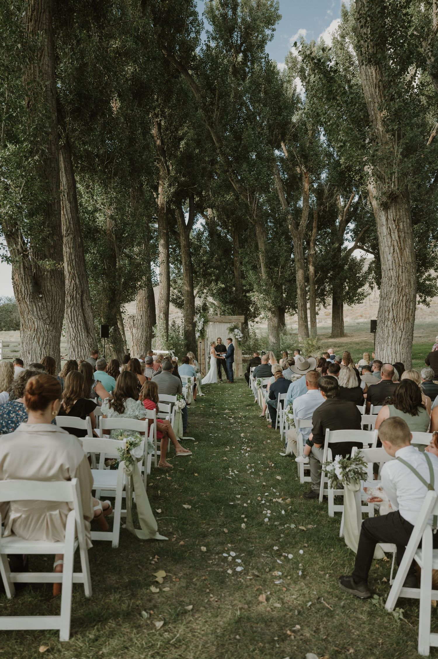 Wedding guests seated in white chairs along a tree-lined path during an outdoor ceremony.