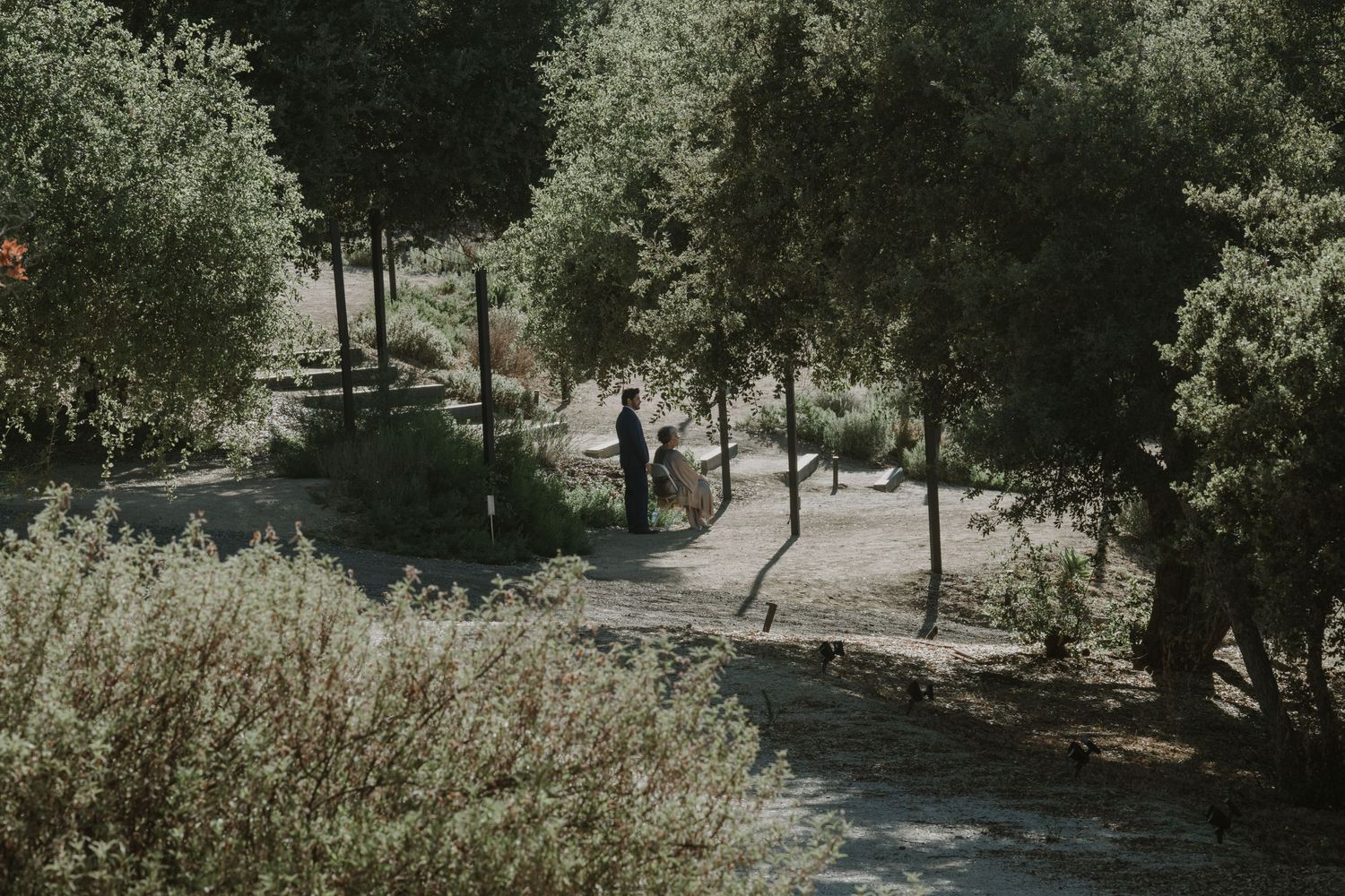 Two people stroll along a winding garden path surrounded by lush green trees and shrubs.