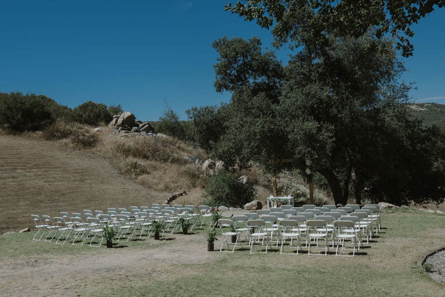 Outdoor wedding ceremony setup with white chairs arranged on green grass beneath a large oak tree on a sunny hillside.