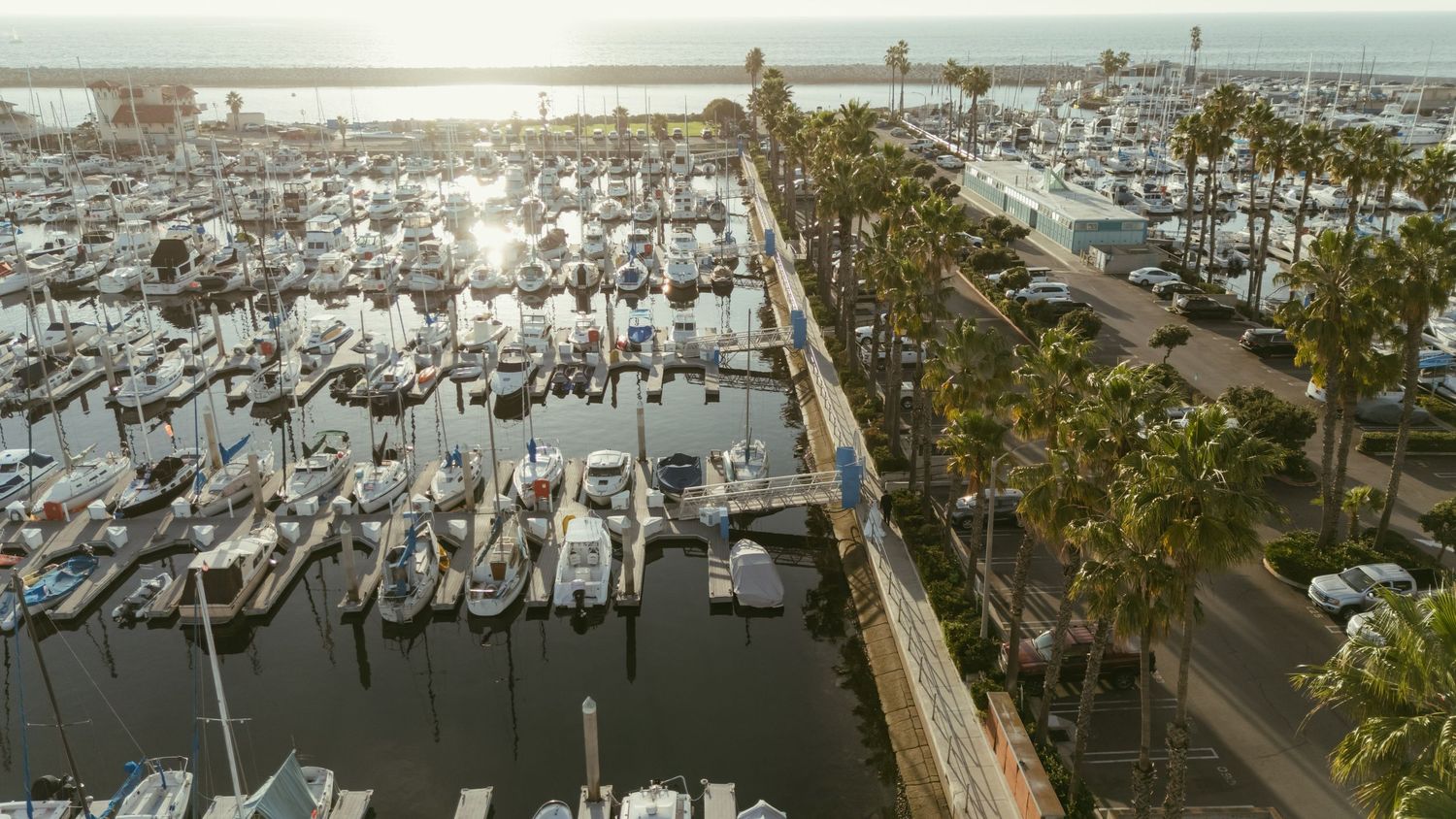 Aerial view of a sunny marina with rows of white sailboats docked along palm tree-lined waterways.