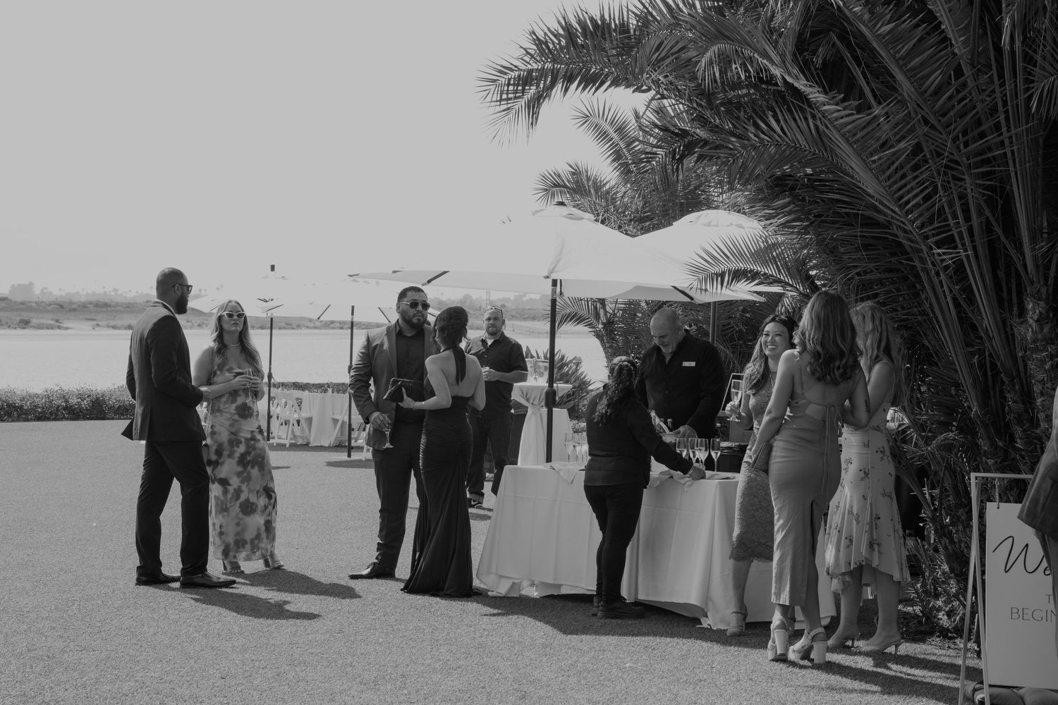 Outdoor wedding ceremony guests gathered under palm trees by the water.