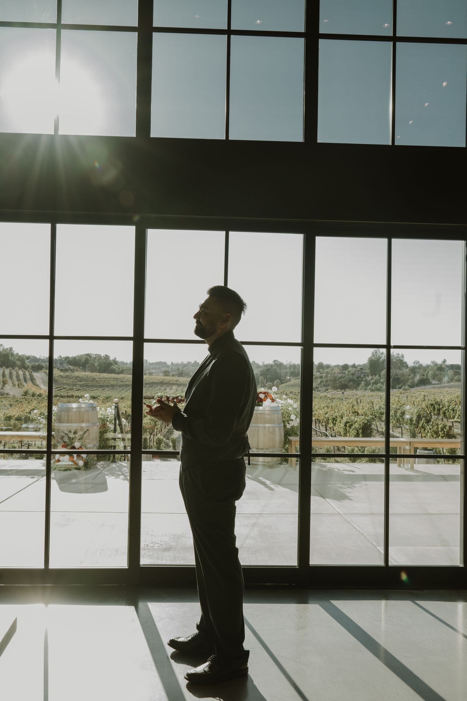 A silhouetted figure stands by large windows overlooking a scenic landscape on a bright day.