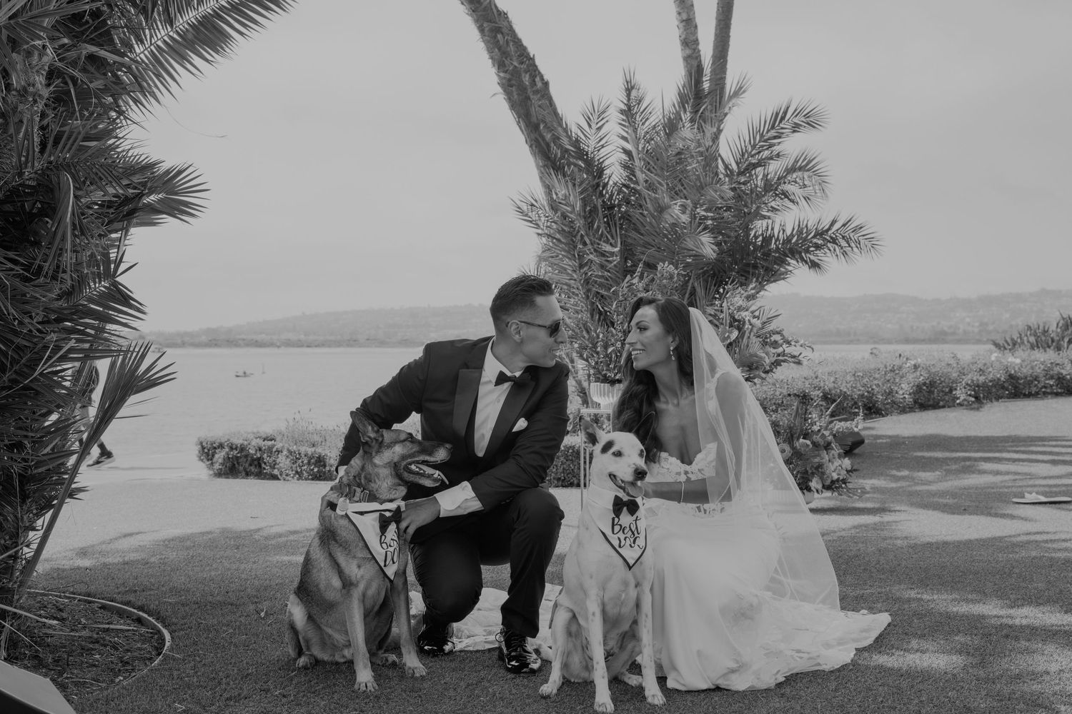 A black and white wedding photo showing a couple by palm trees near the ocean.