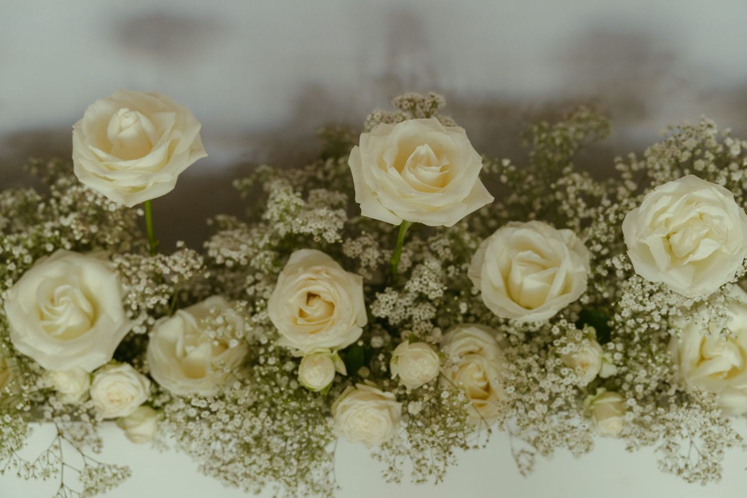 Elegant white roses and baby's breath flowers arranged together in a soft, romantic floral display.