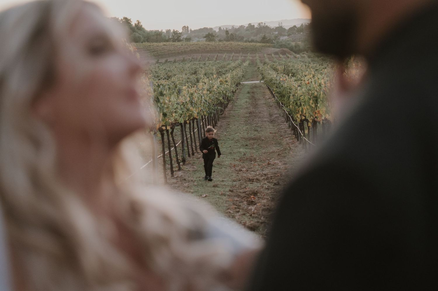 Artistic wedding photography sequence showing romantic moments in a rustic vineyard.