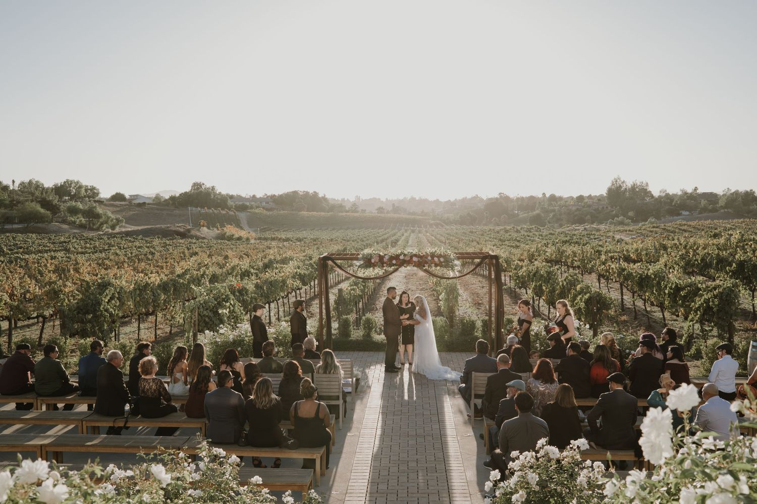 Panoramic view of a winery wedding venue with rows of grapevines and mountain backdrop.