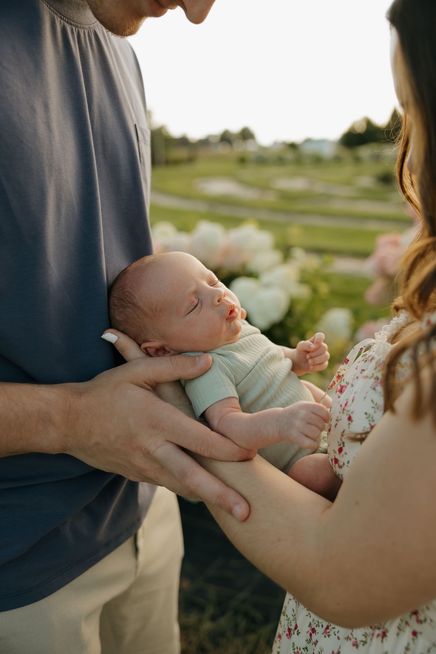 Parents cradling their sleeping newborn baby outdoors near blooming white hydrangeas at golden hour.