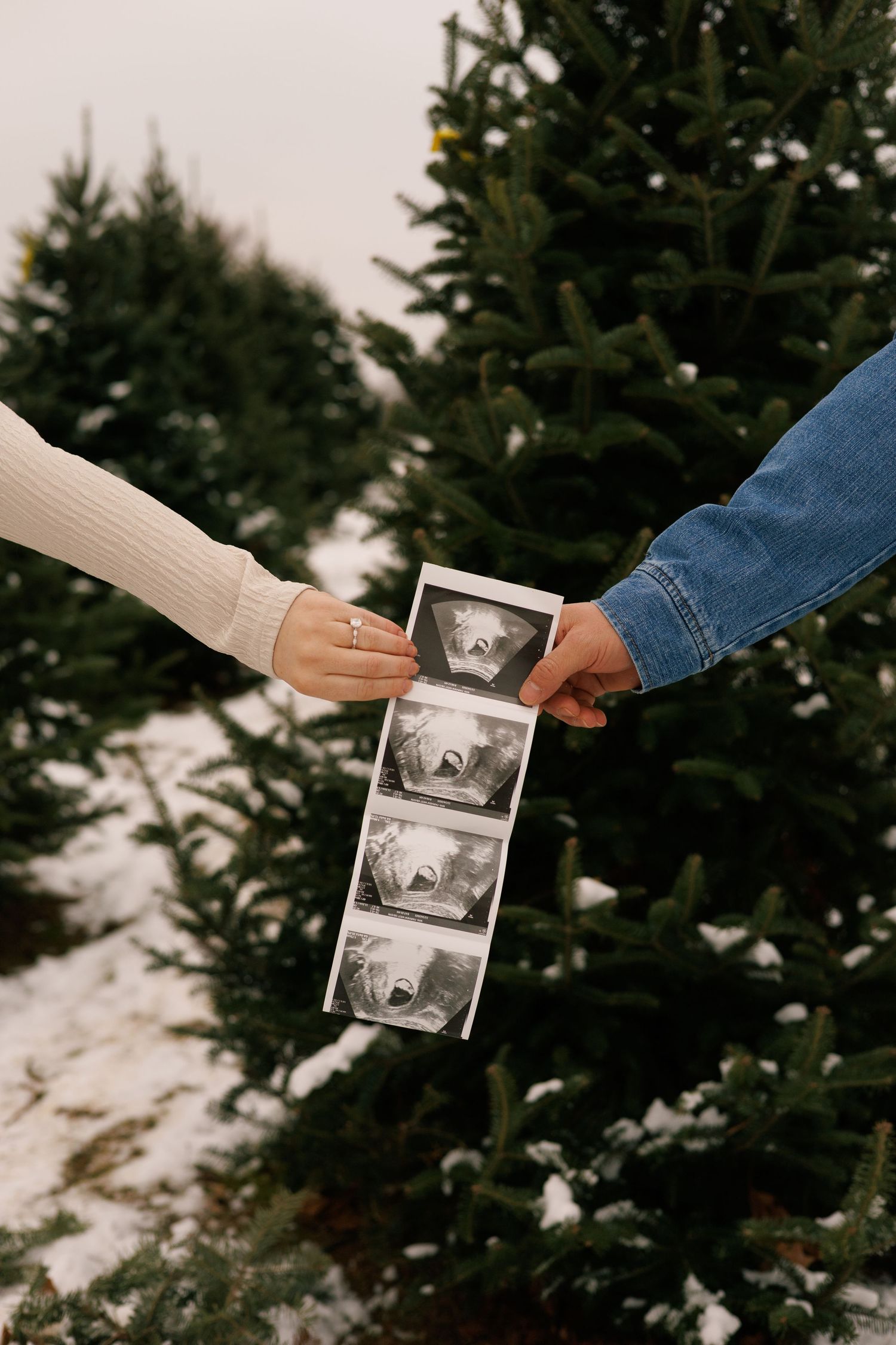 Hands reaching out to display a sonogram photo against evergreen trees and snow.