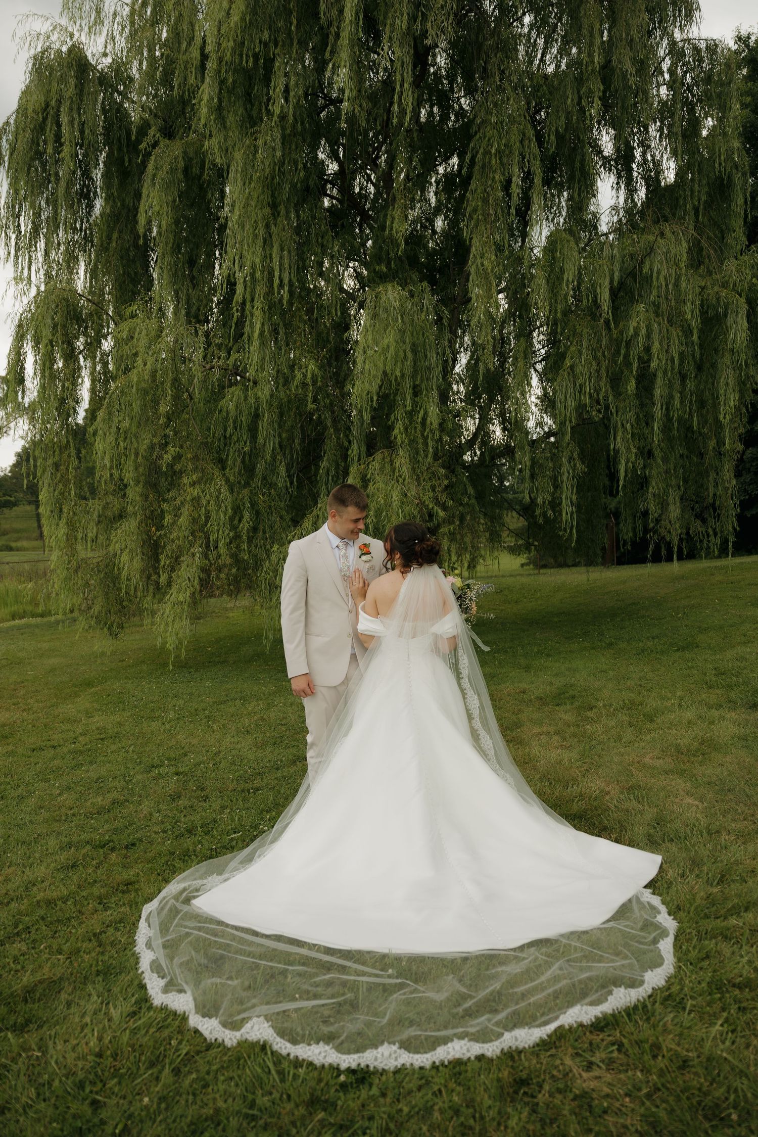 Bride and groom stand beneath a weeping willow tree, her lace-trimmed cathedral veil spread across green grass.