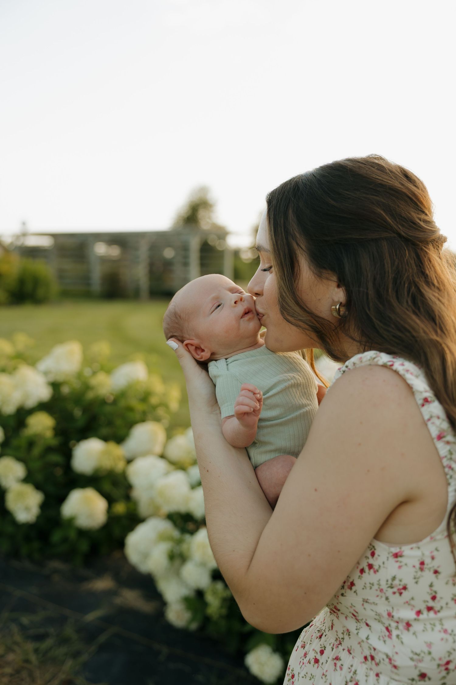 A mother tenderly kisses her newborn baby outdoors near white hydrangeas in golden hour light.