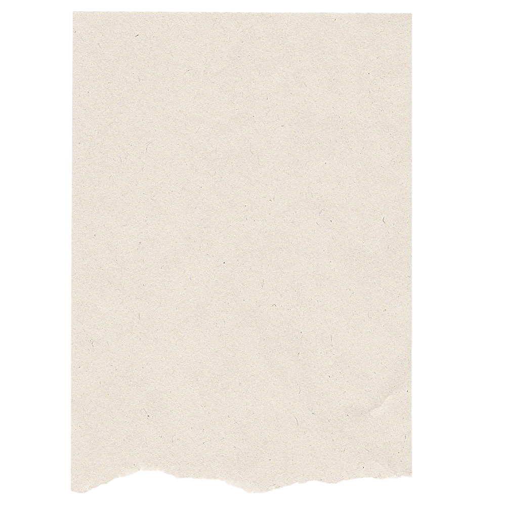 Blank cream colored paper texture with torn edge.