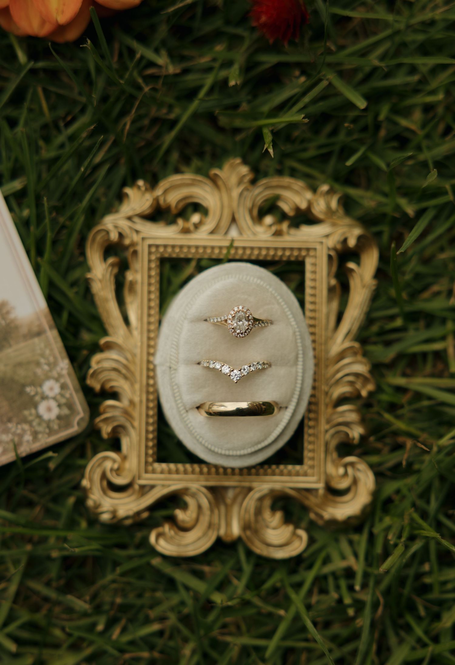 Three wedding rings, including a diamond engagement ring, nestled in an oval velvet box inside an ornate gold frame on green grass.