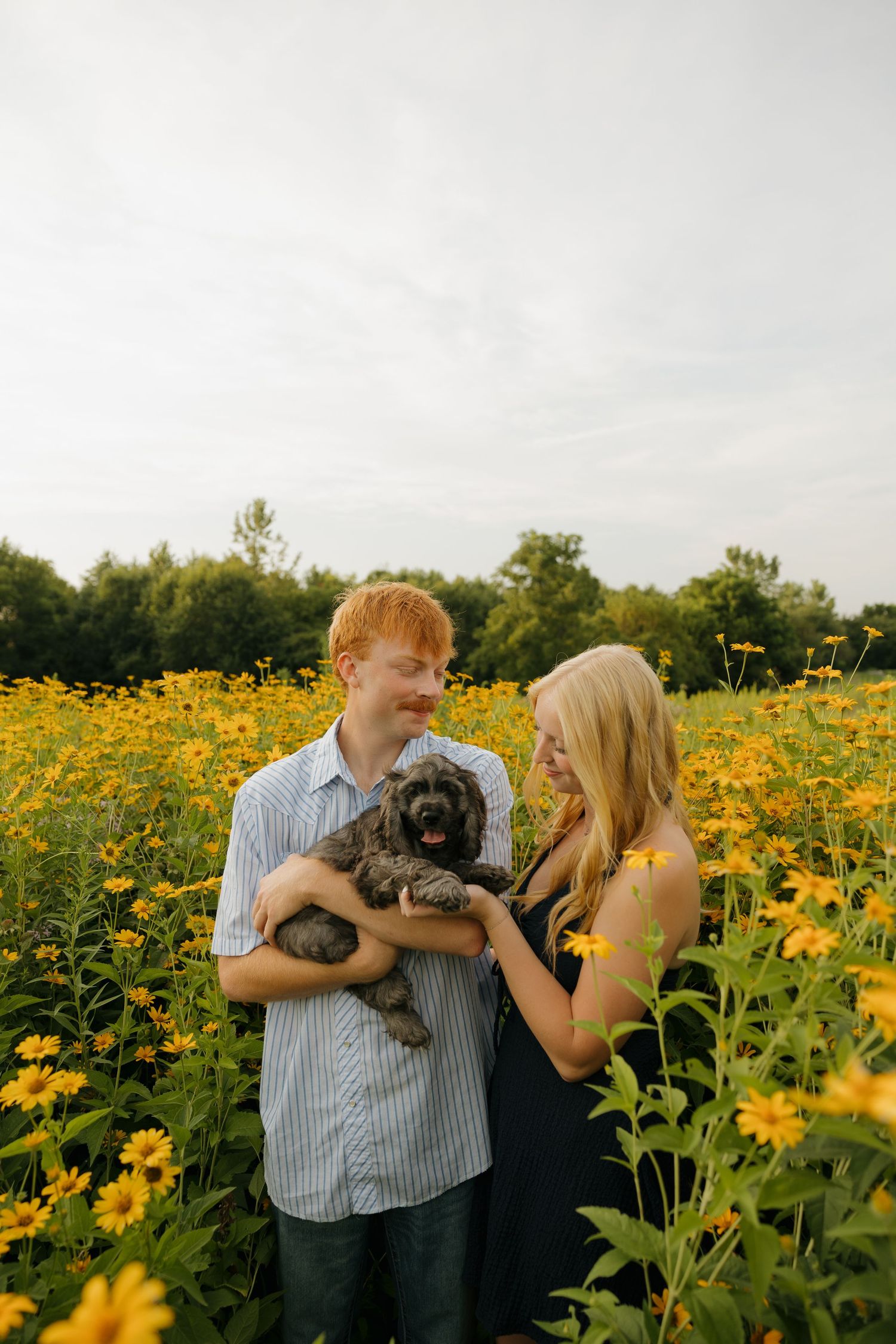A smiling couple holds a small gray dog in a vibrant yellow wildflower field on a cloudy day.