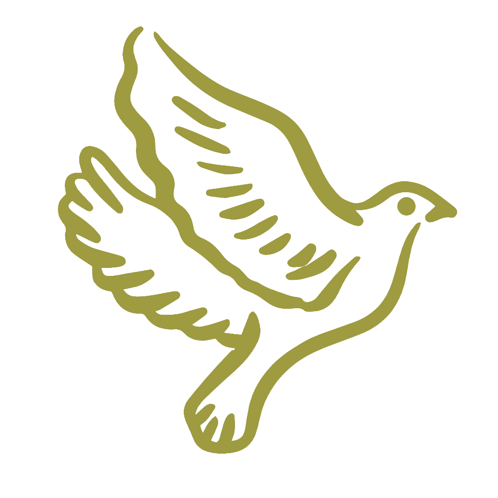 Gold outline illustration of a dove in flight, symbolizing peace and freedom on a white background.