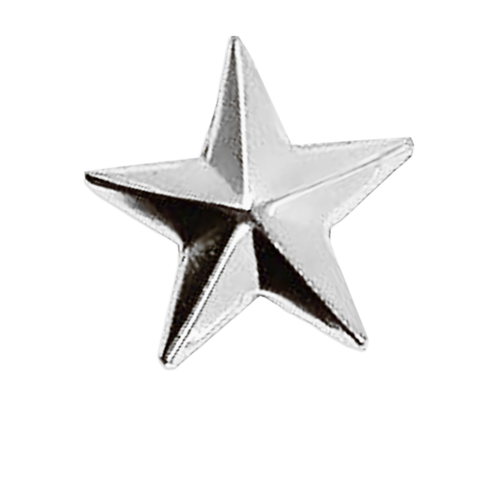 Decorative silver star ornaments arranged in a row.